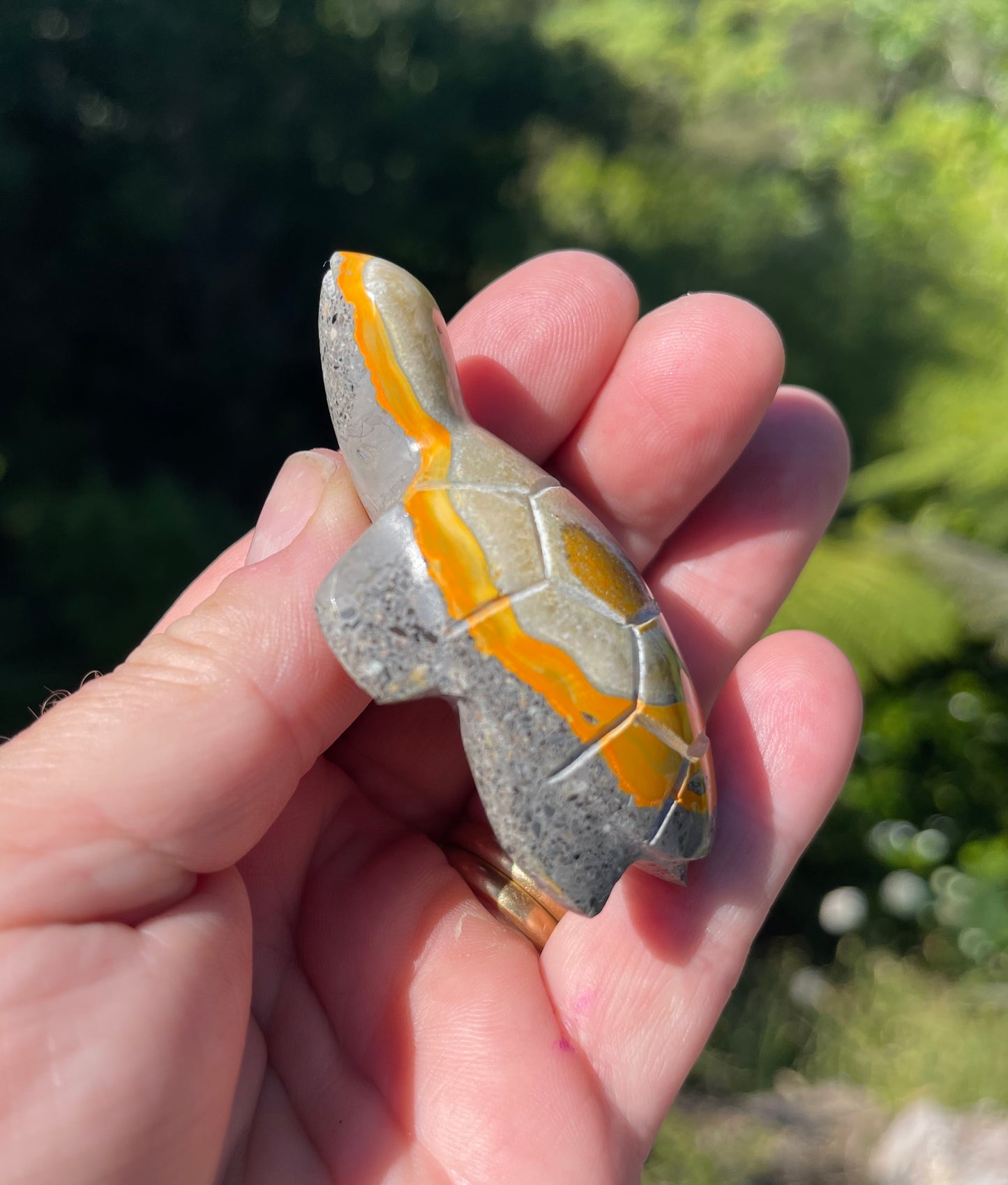 Bumblebee Jasper carved stone Turtle