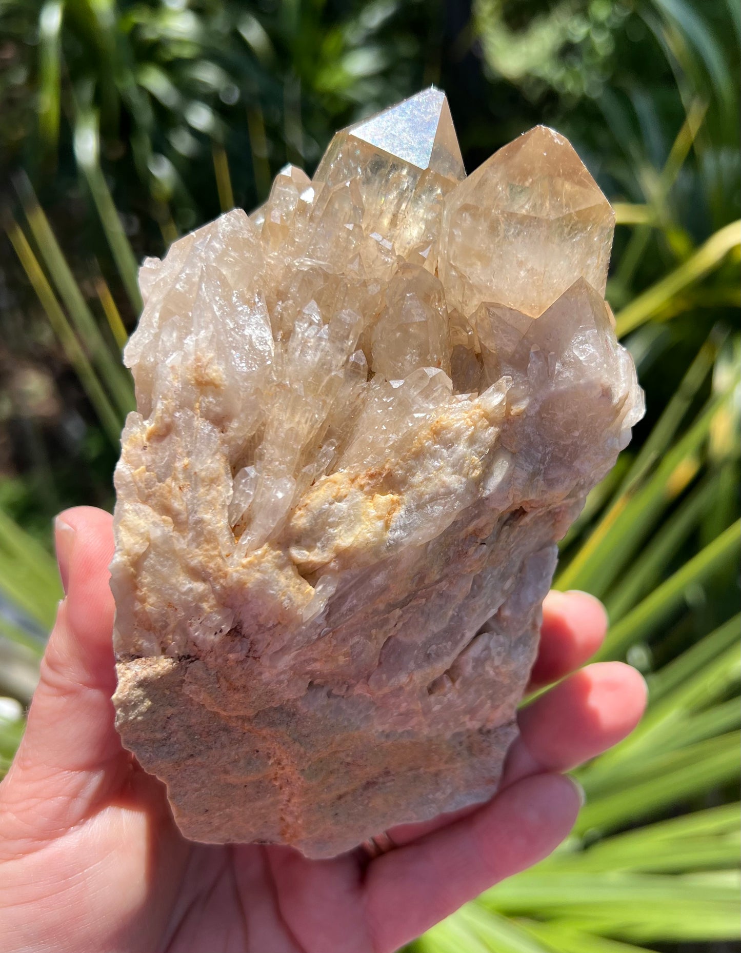 Kundalini Citrine Cluster