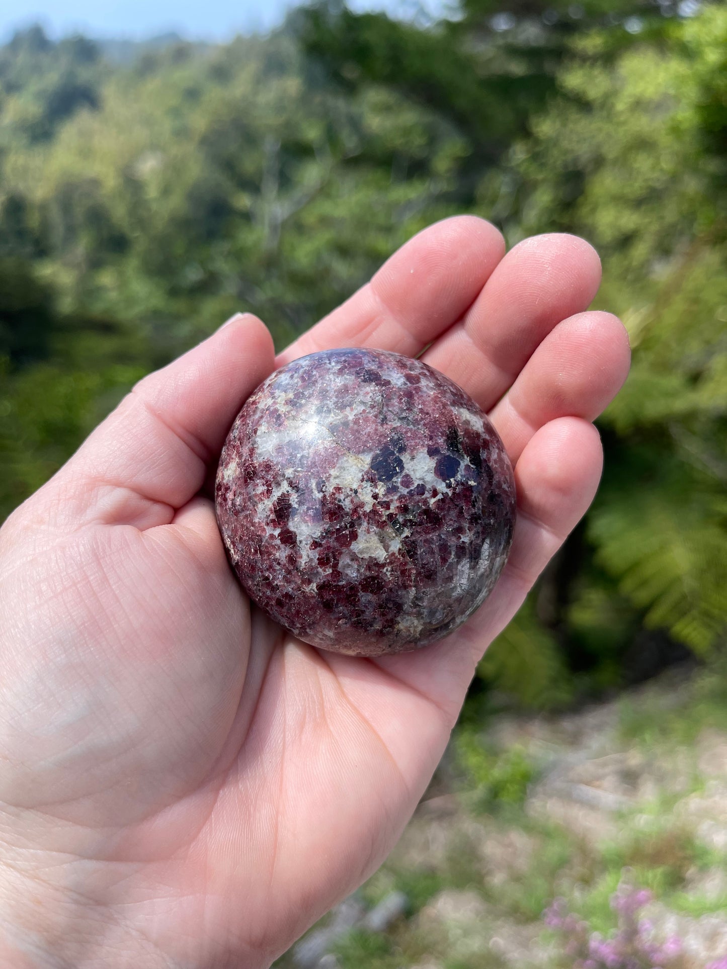 Garnet-Grenatite Puffy Palm Stone