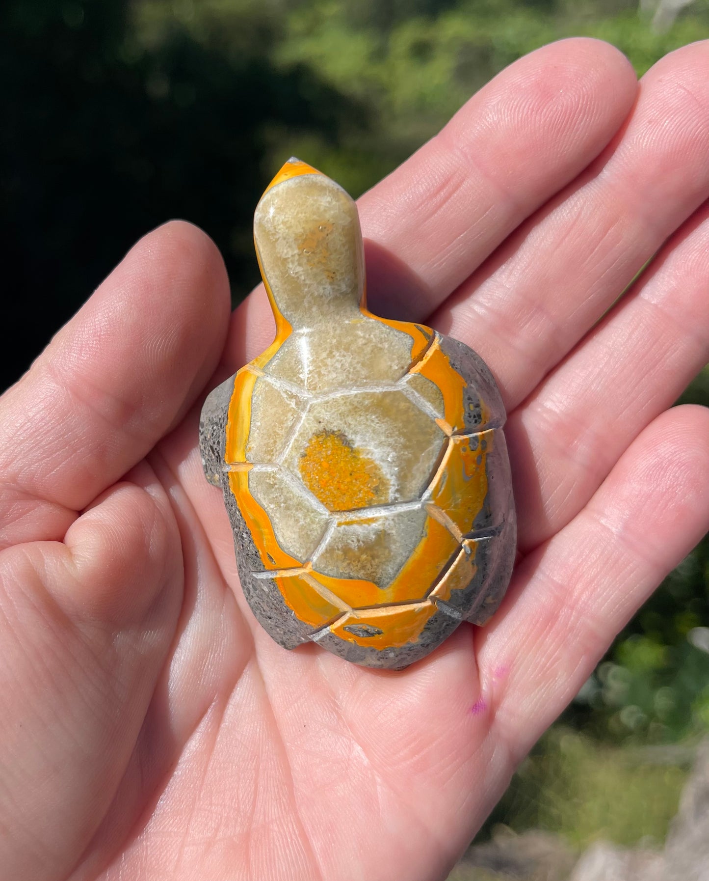 Bumblebee Jasper carved stone Turtle