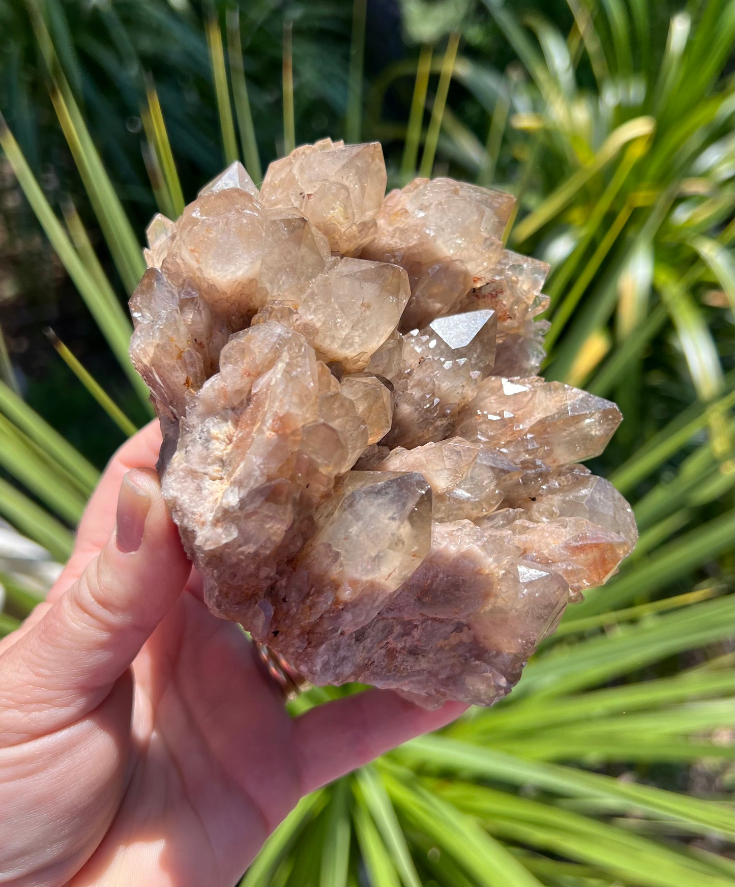 Kundalini Smoky Citrine Cluster