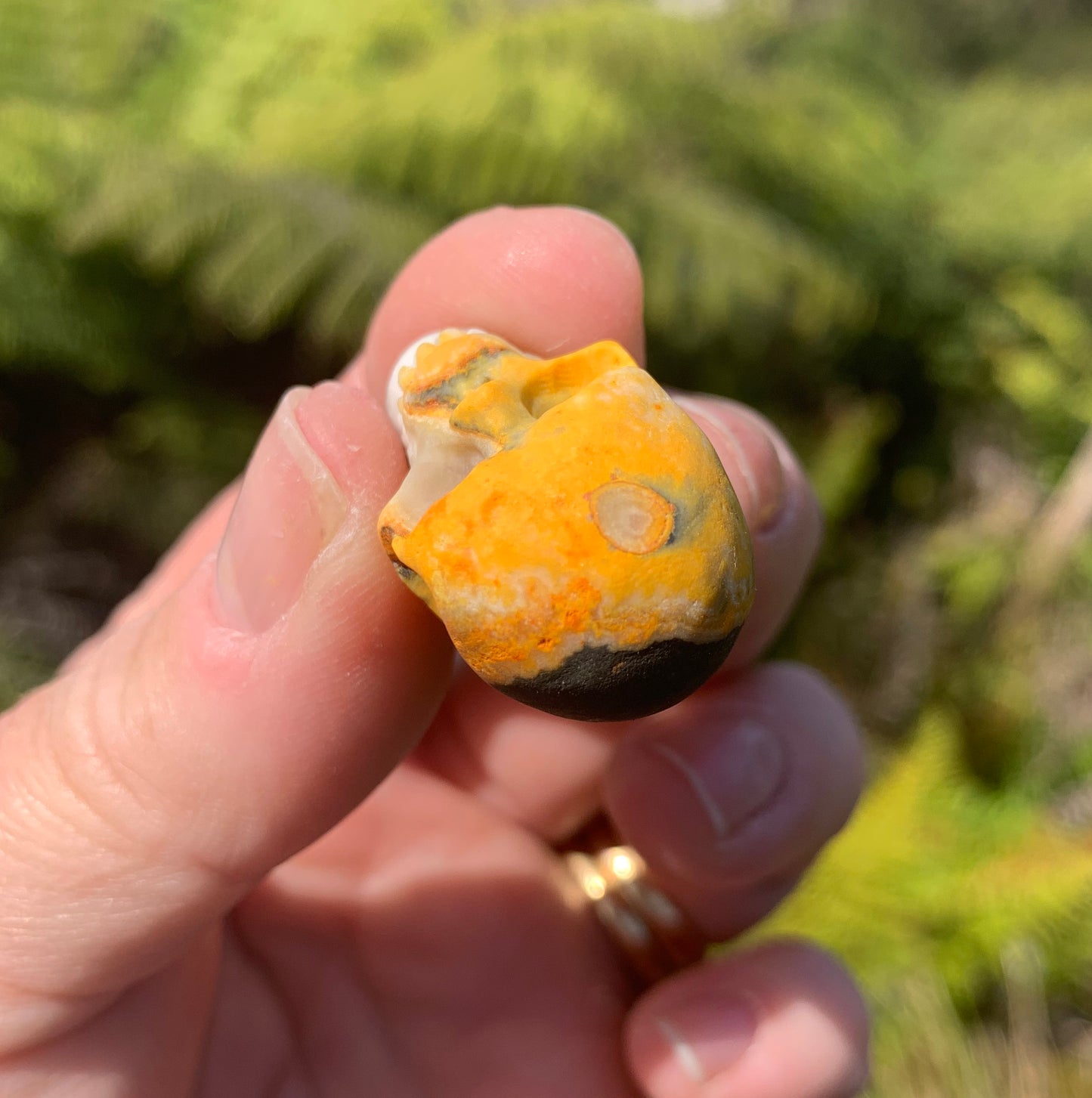 Bumblebee Jasper Skull