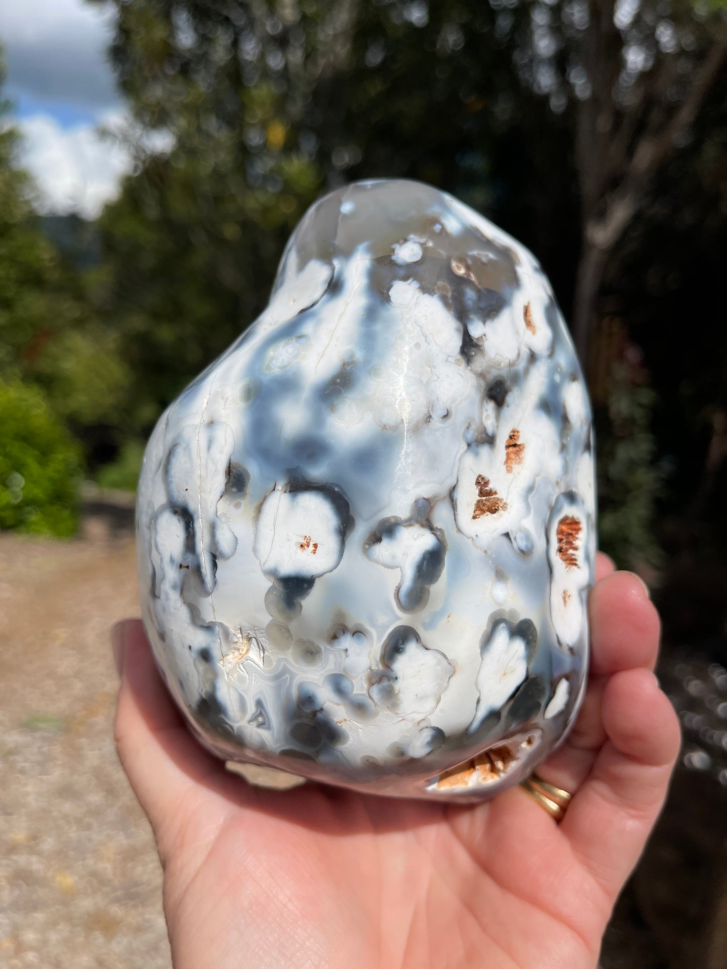 Orca Agate Freeform