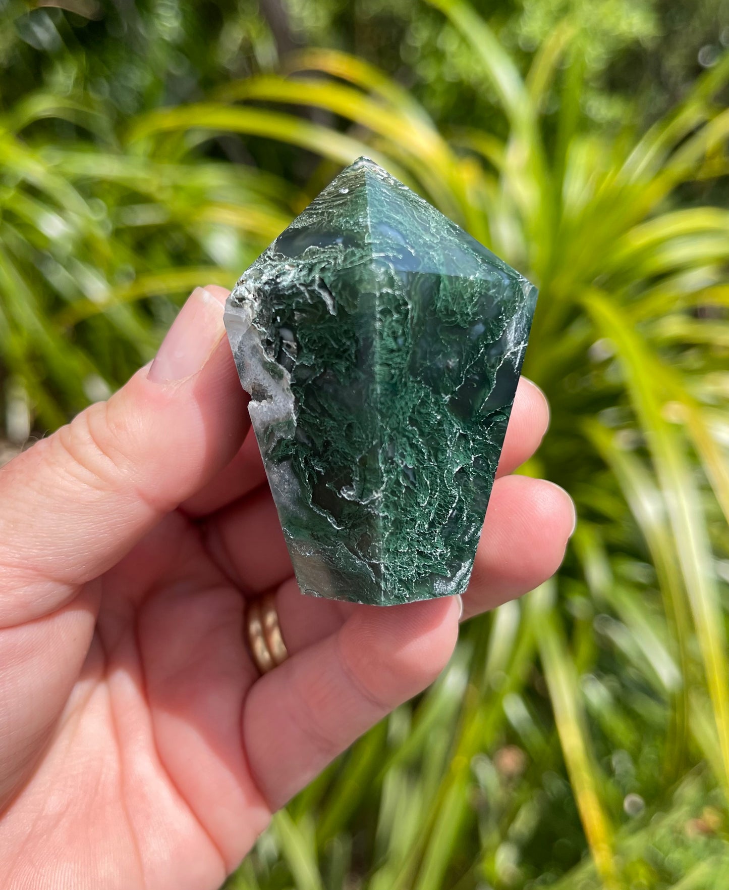 Moss Agate Point