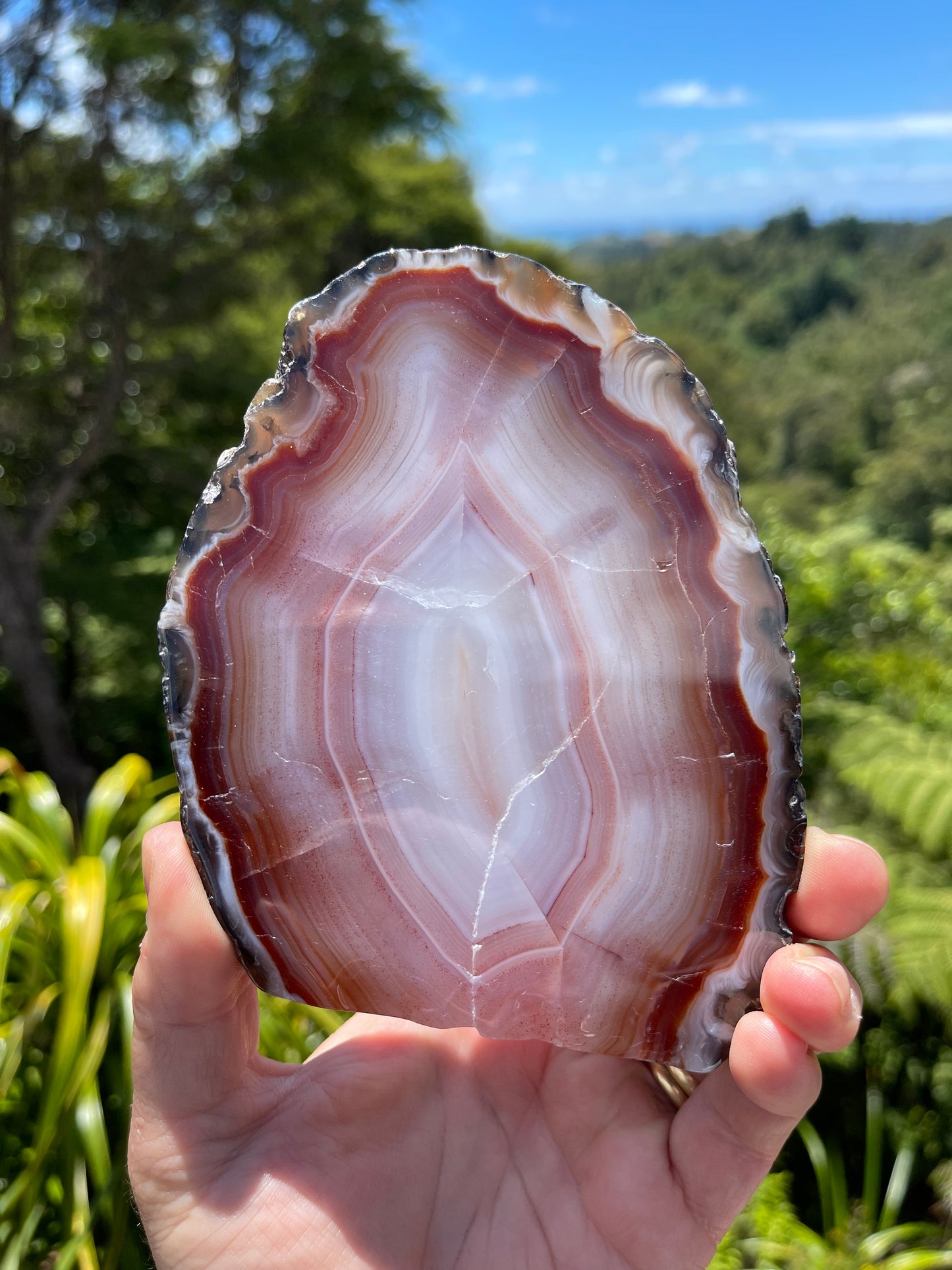 Carnelian Agate Slice