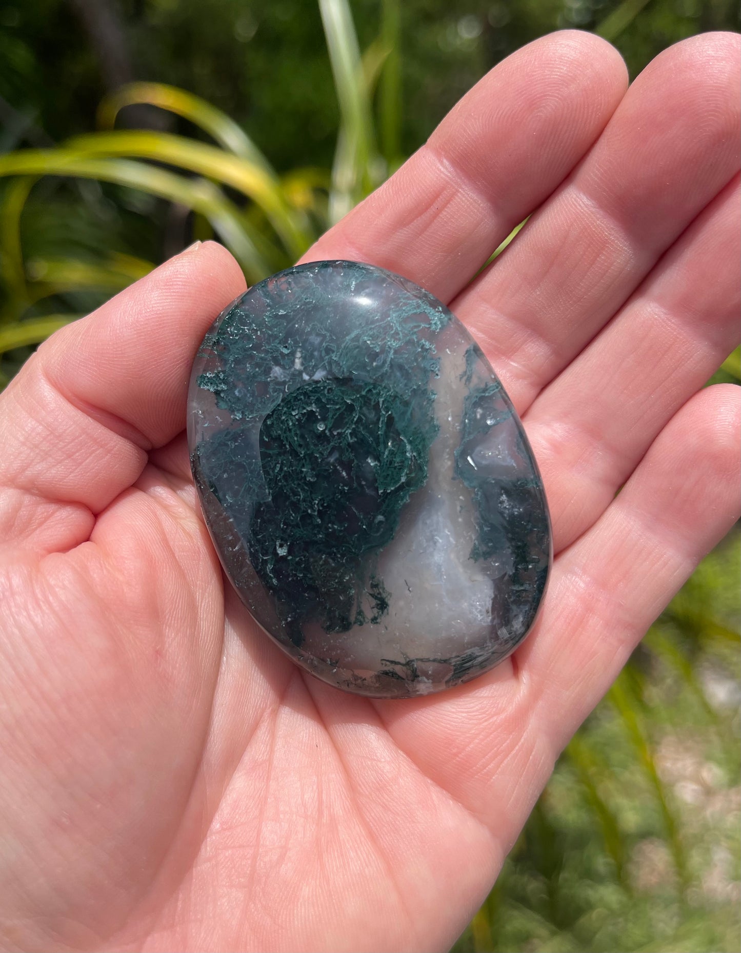 Moss Agate Palm Stone
