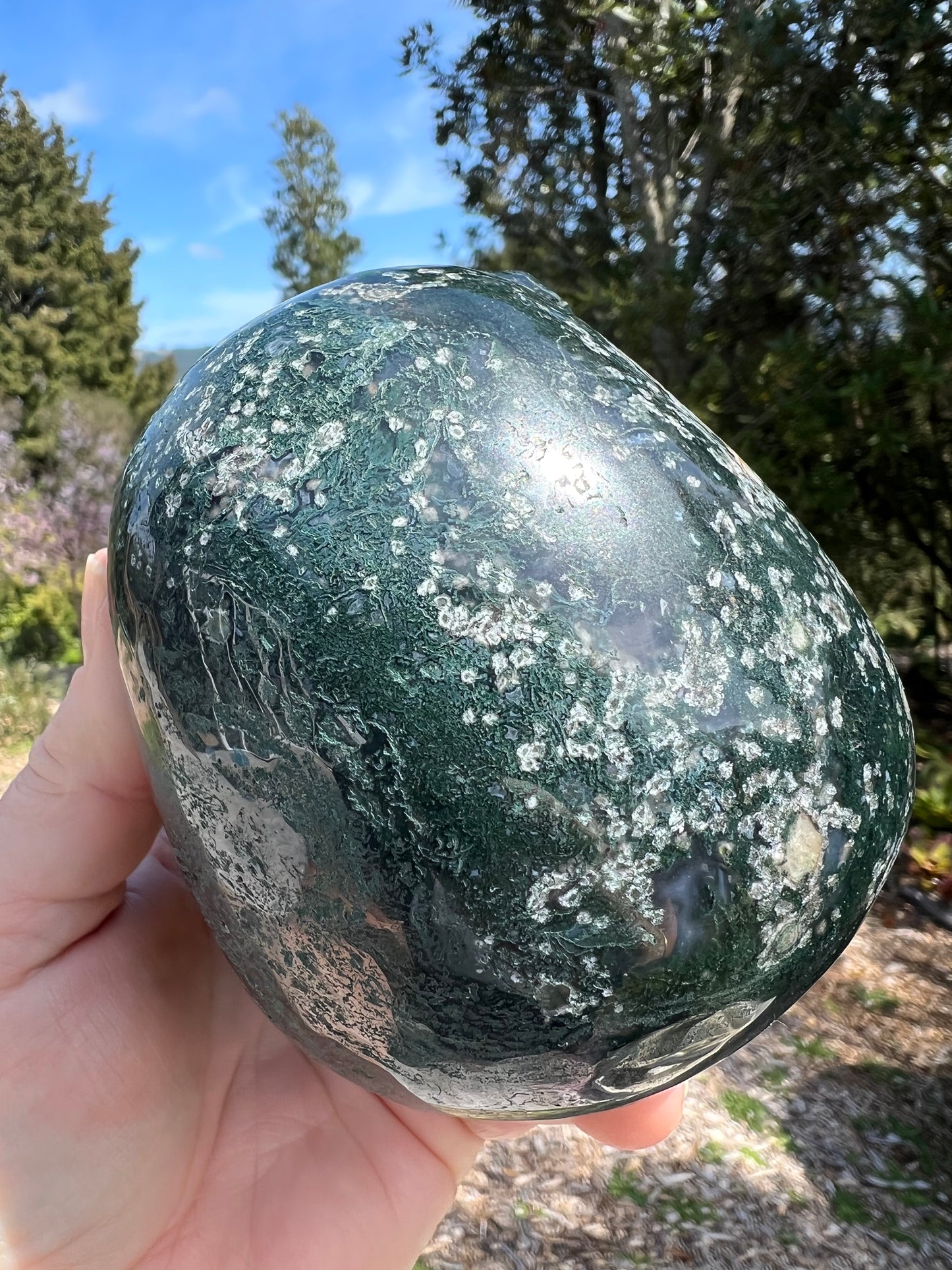 Moss Agate Carved Skull