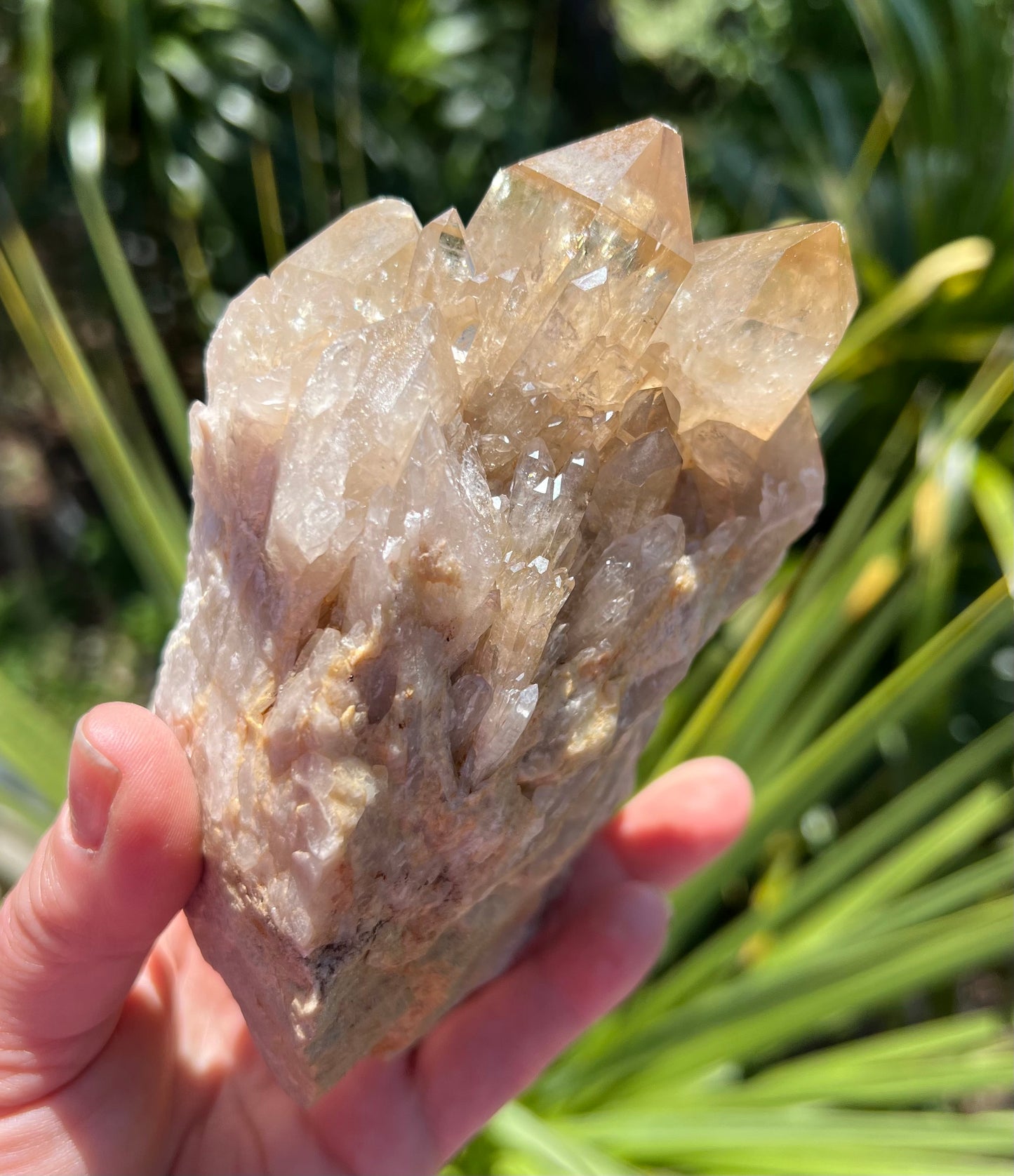 Kundalini Citrine Cluster