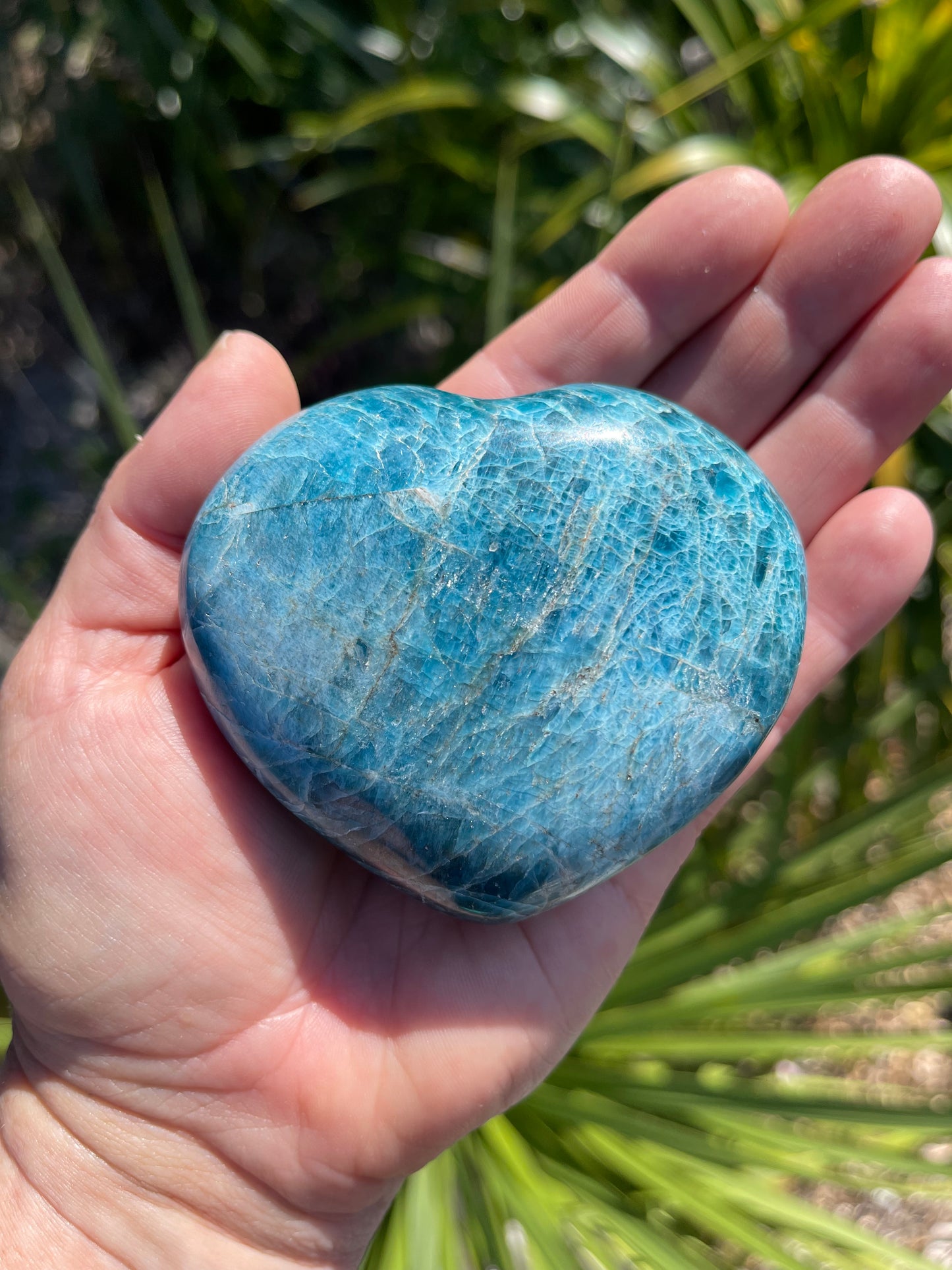 Apatite Heart