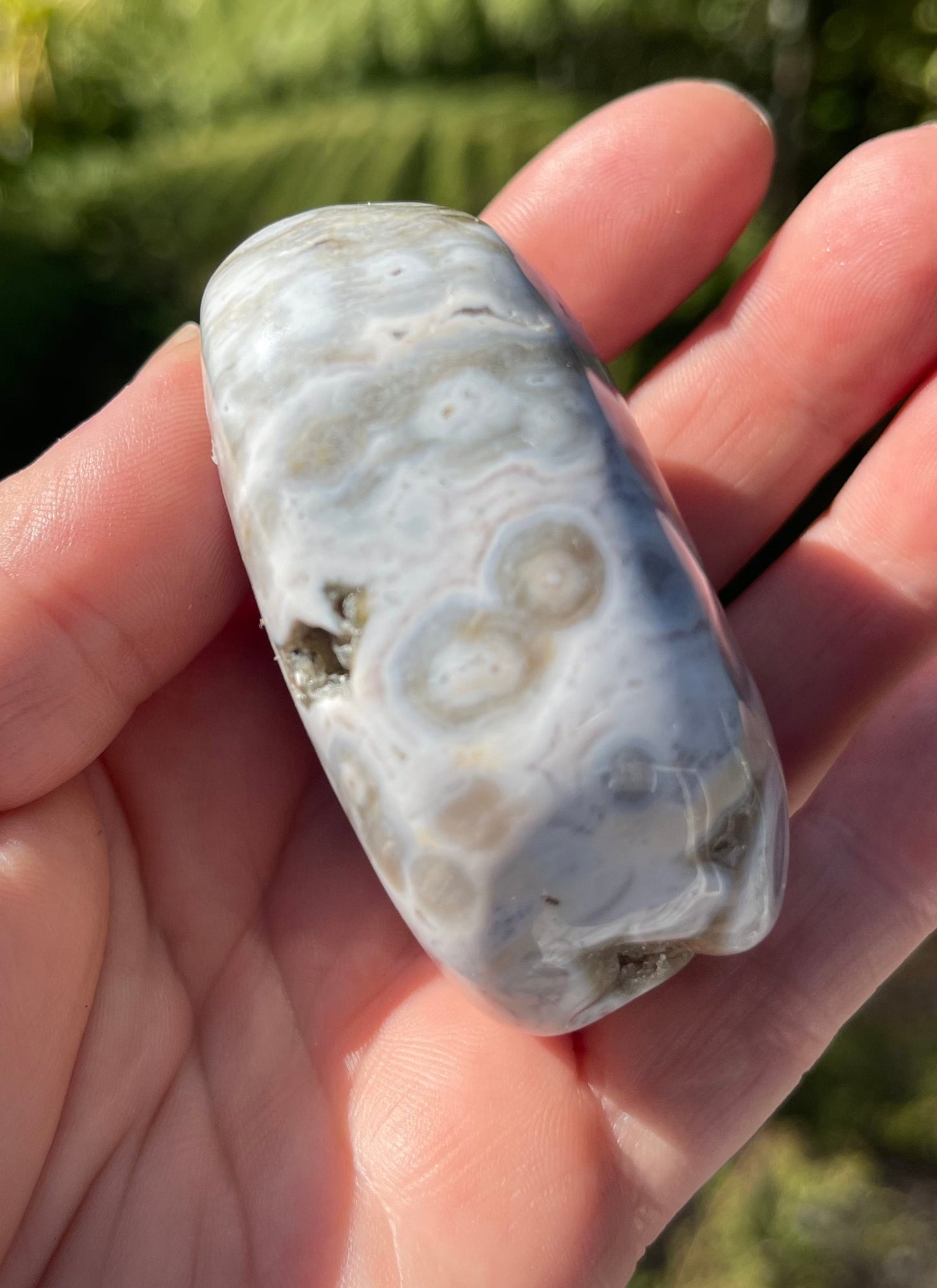 Orbicular Ocean Jasper Palm Stone