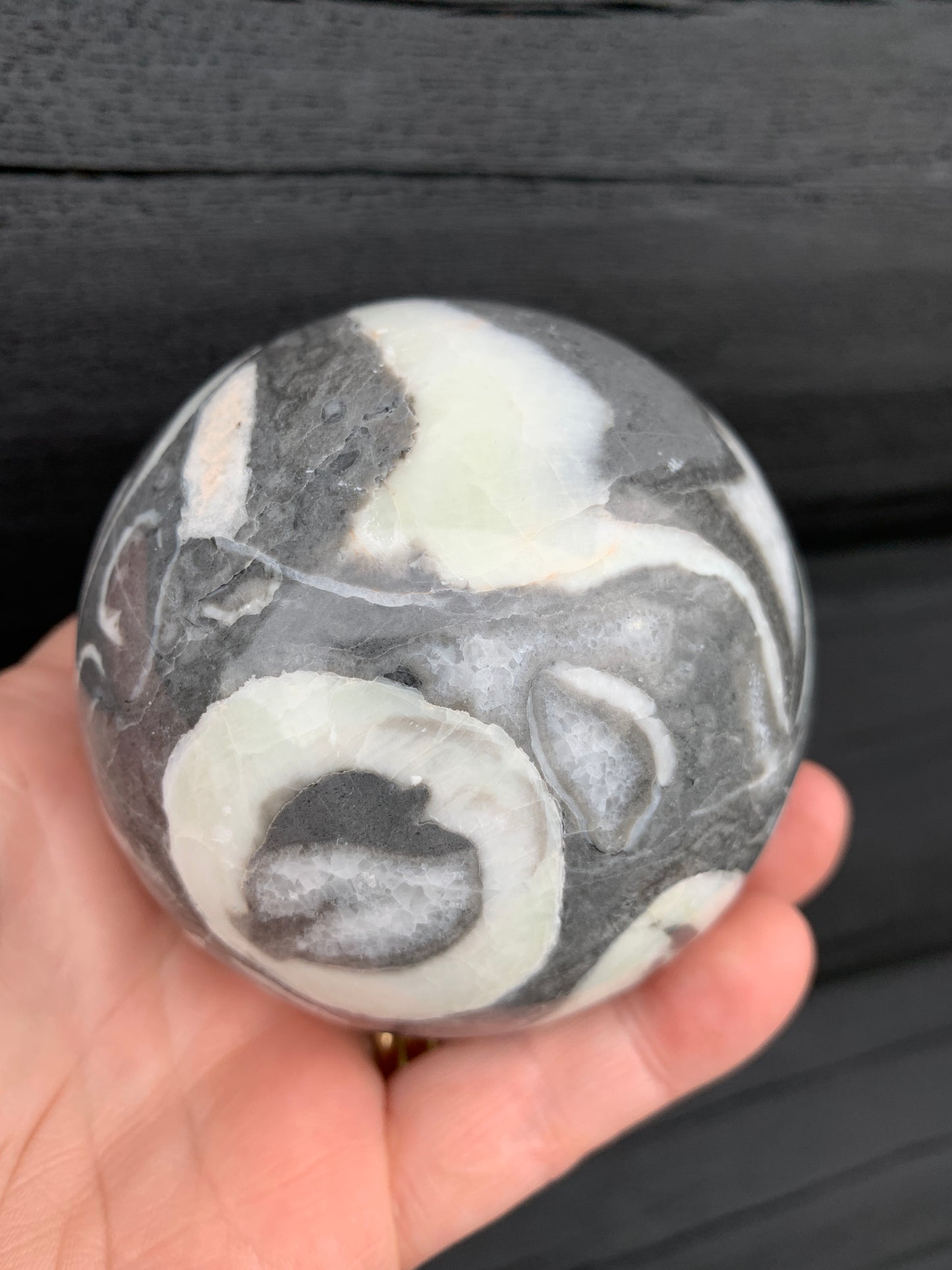 Thousand Eye/Shell Jasper Sphere