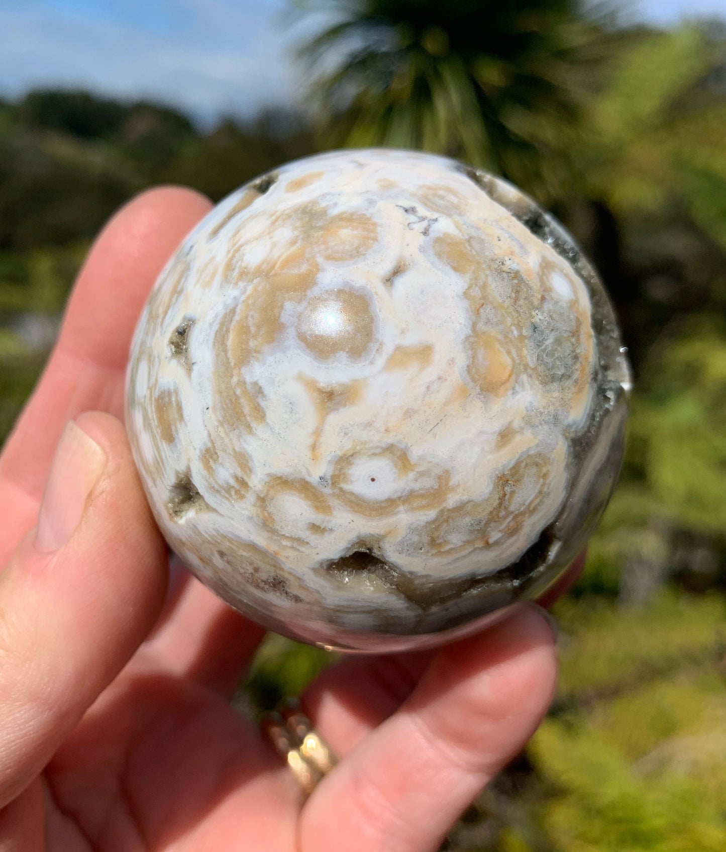 Orbicular Ocean Jasper Sphere