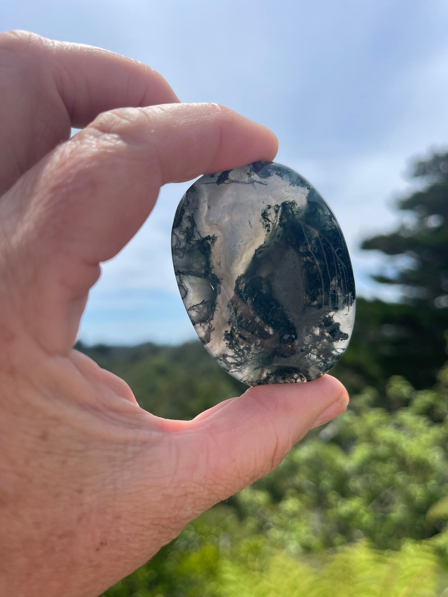 Moss Agate Palm Stone