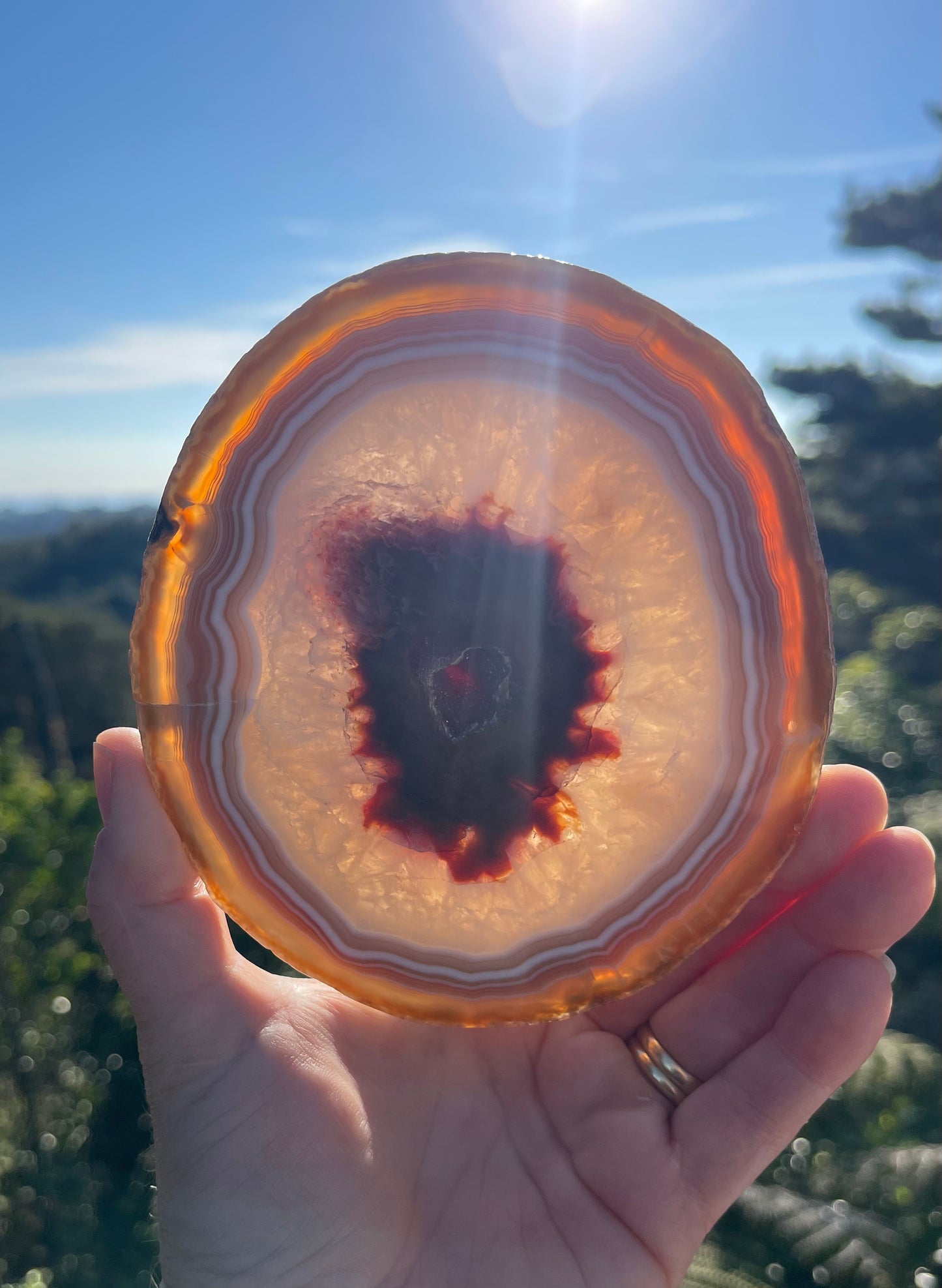Carnelian Agate Slice, Round