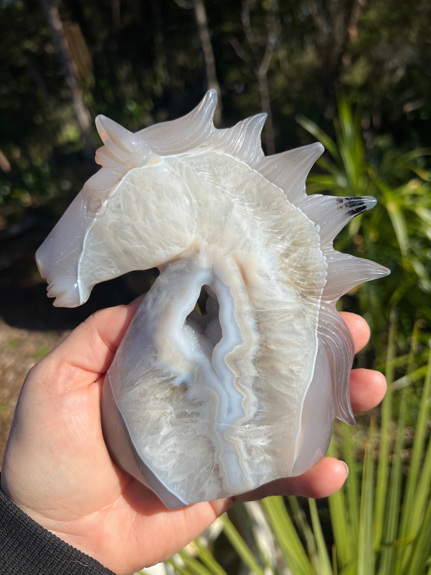 Blue Lace Agate Geode Horse Head