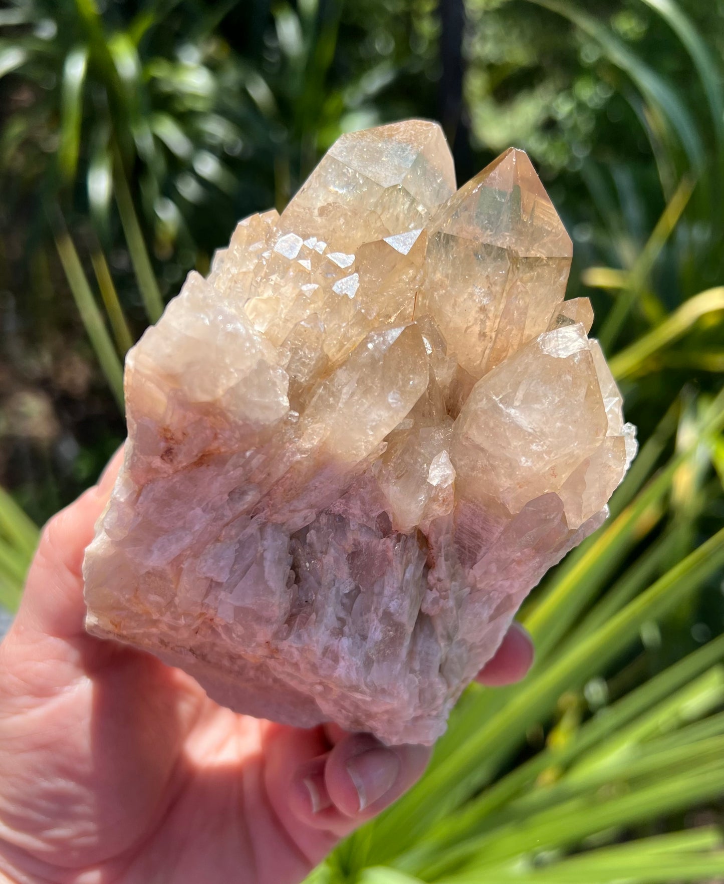 Kundalini Citrine Cluster