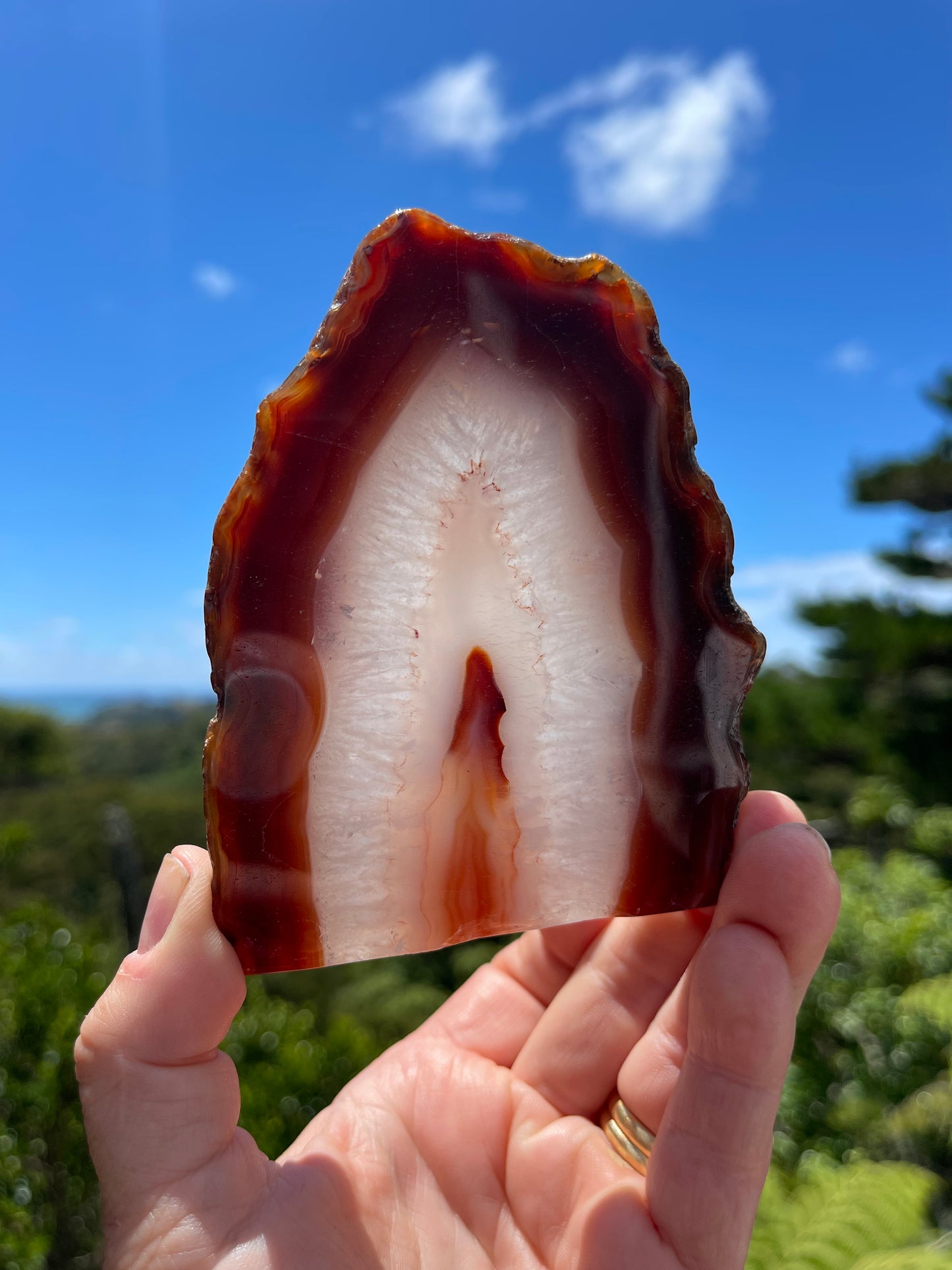 Carnelian Agate Slice