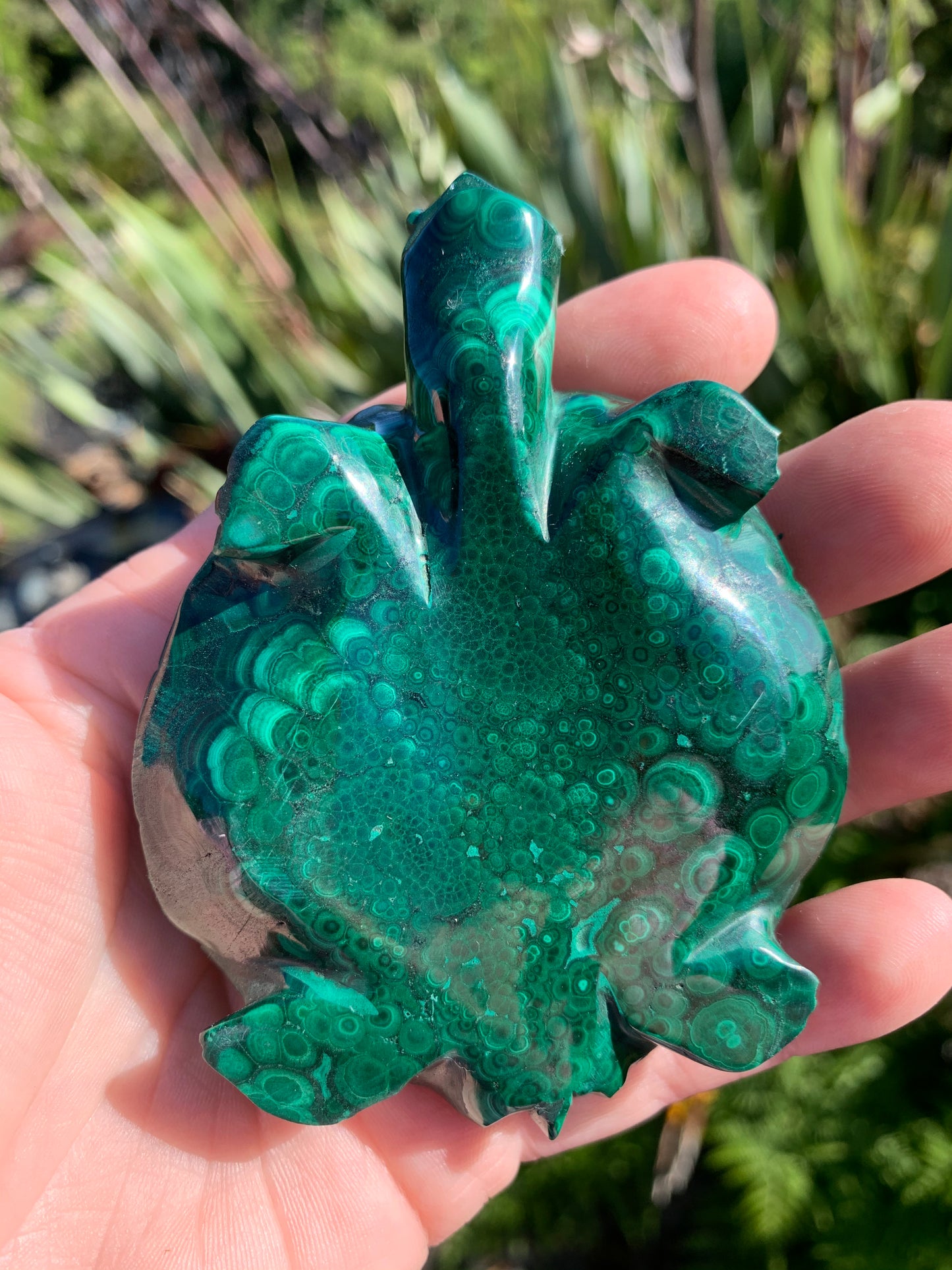 Malachite Carved Turtle