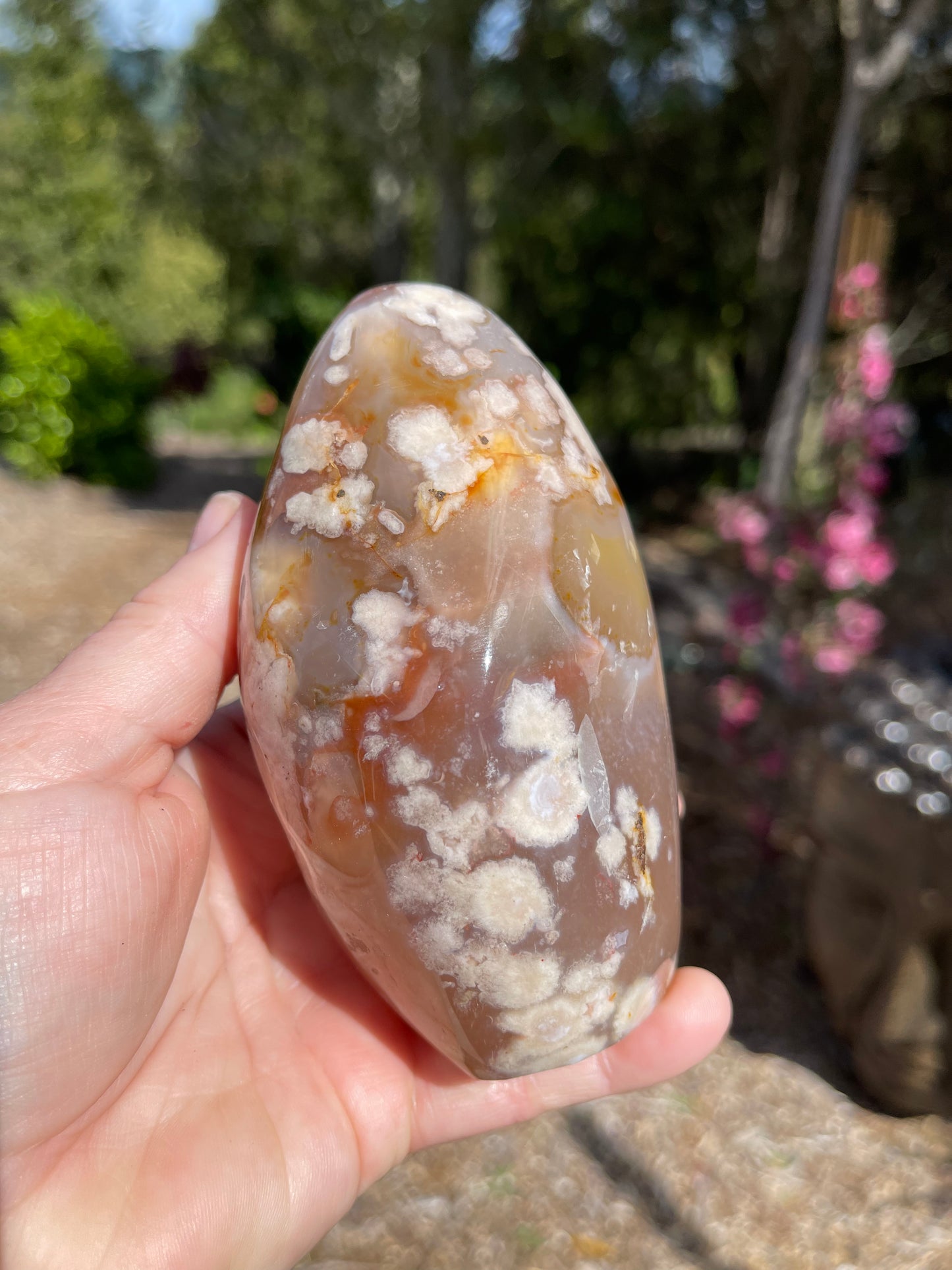 Cherry Blossom/Flower Agate Carnelian mix Free Form