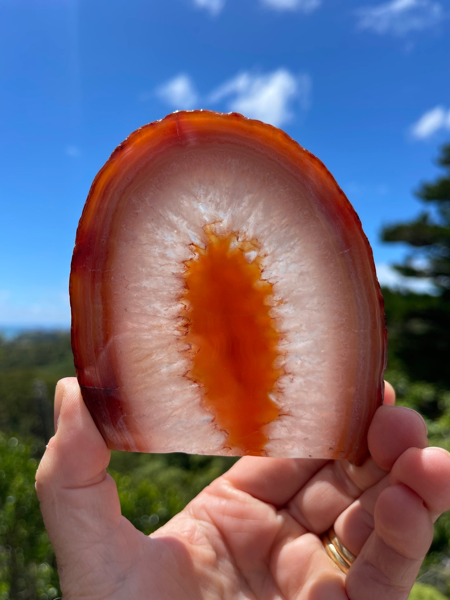 Carnelian Agate Slice