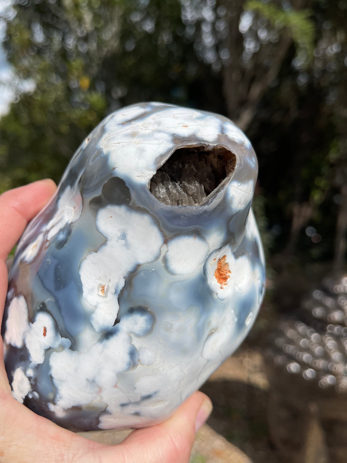 Orca Agate Freeform