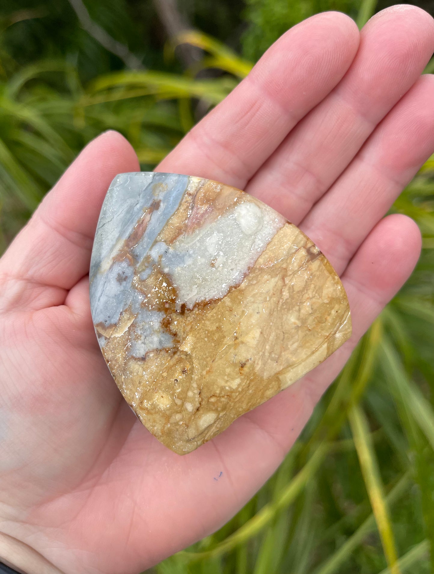 Ocean Jasper Free Form