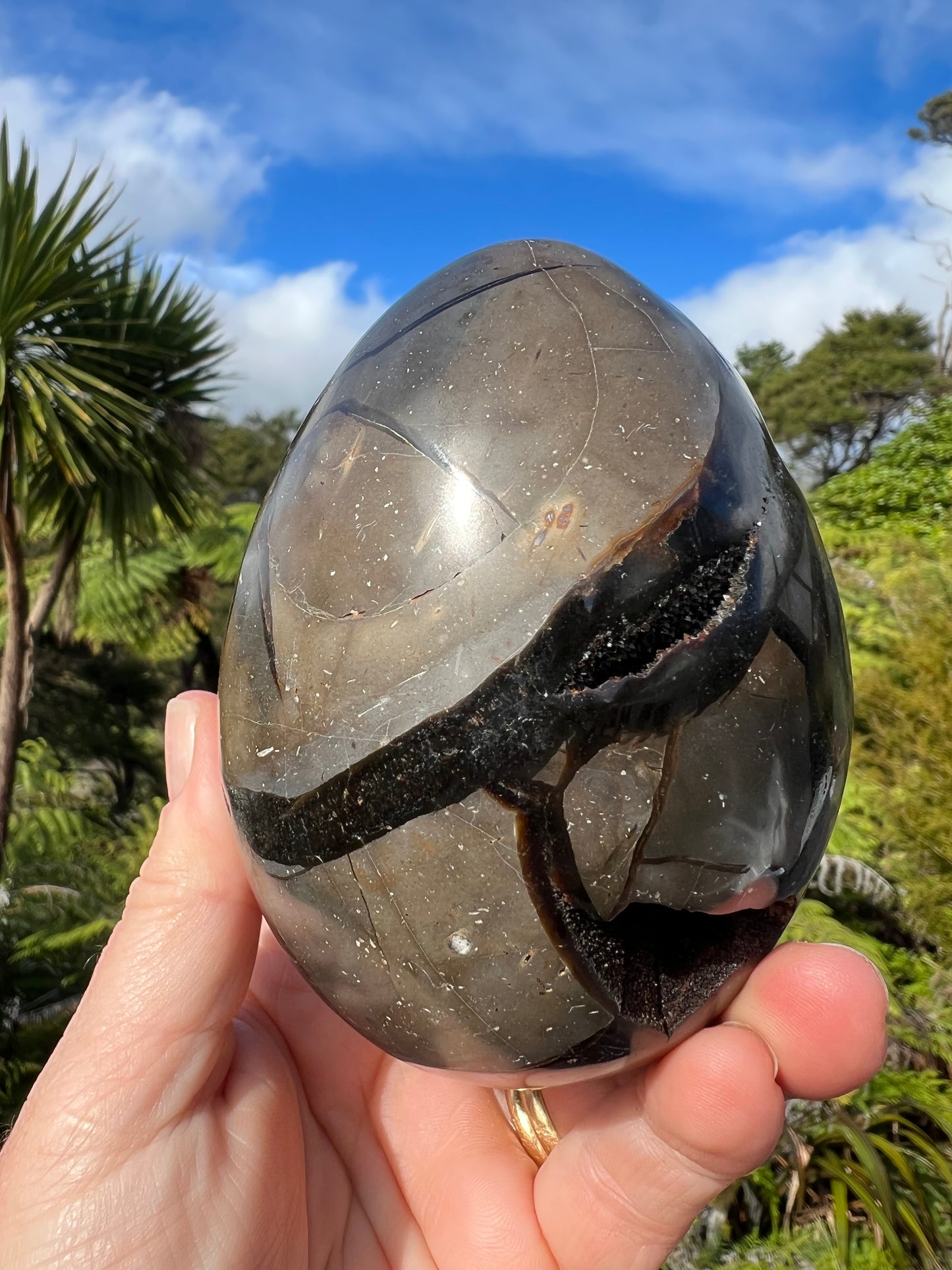 Septarian/Dragon Stone Egg