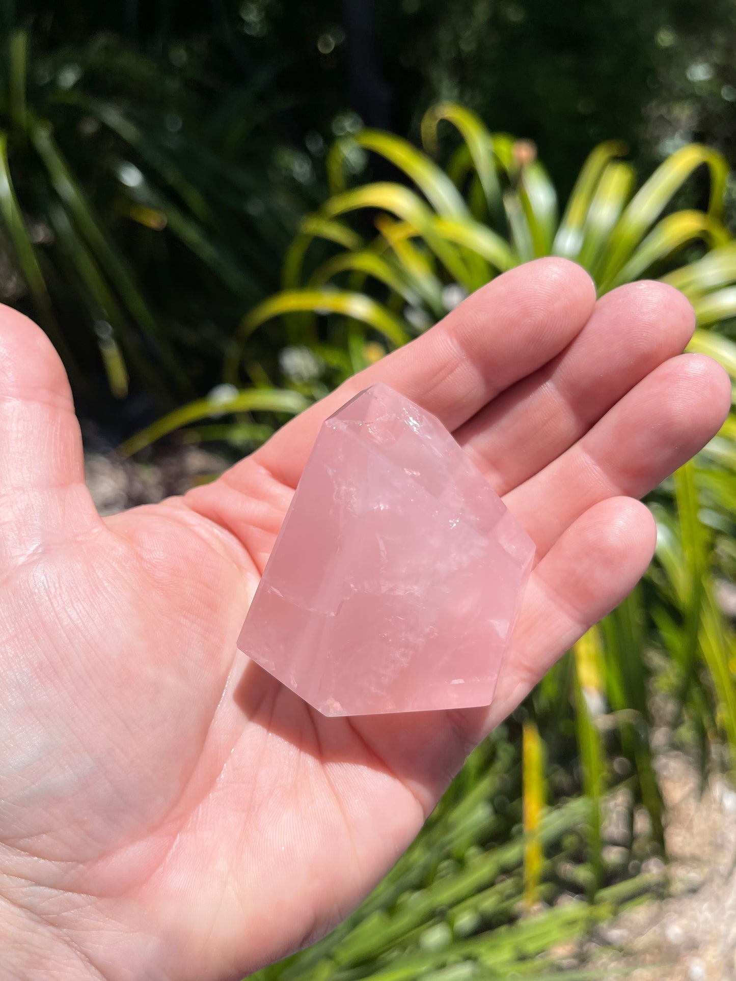 Rose Quartz Freeform