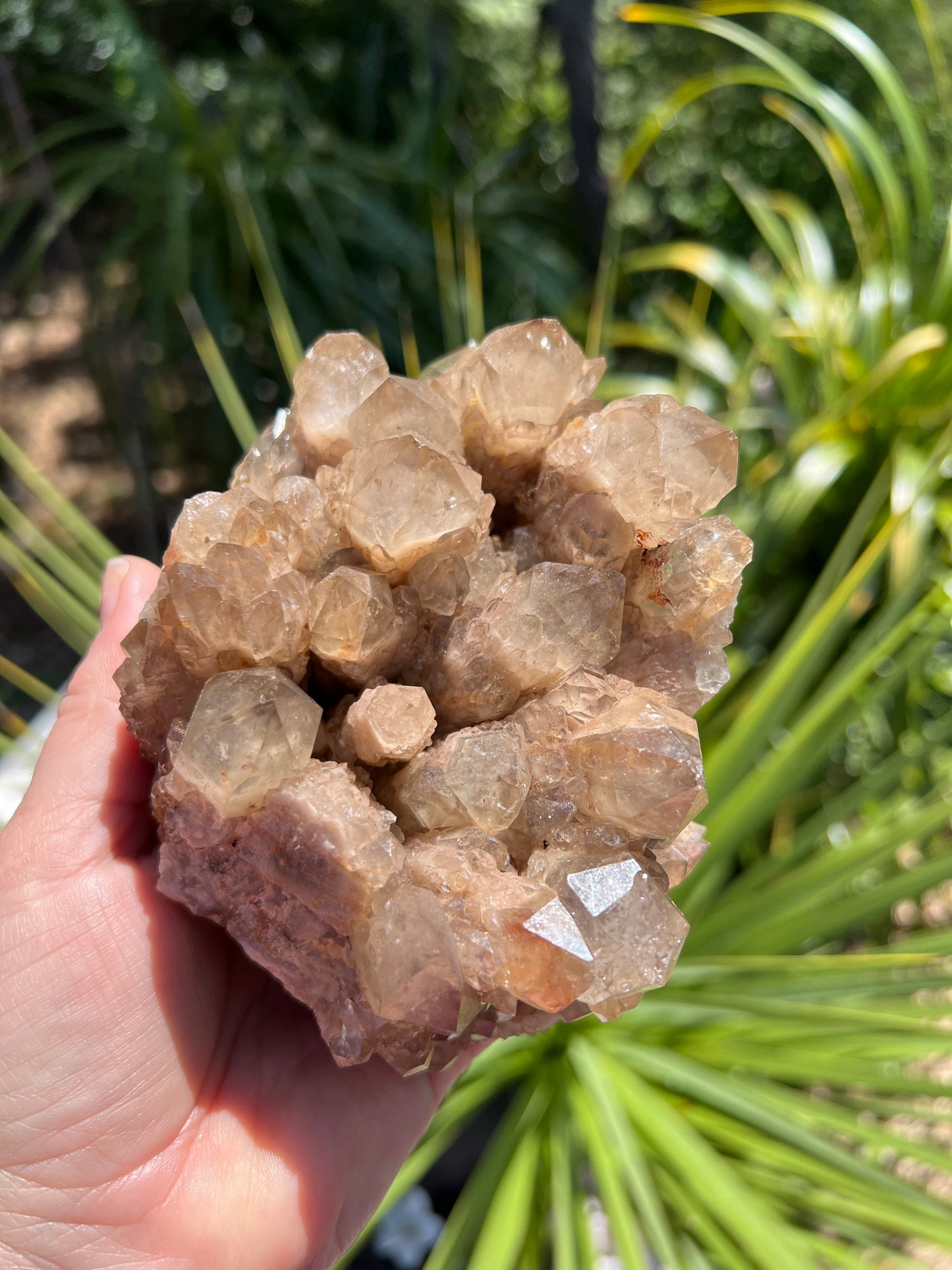 Kundalini Smoky Citrine Cluster