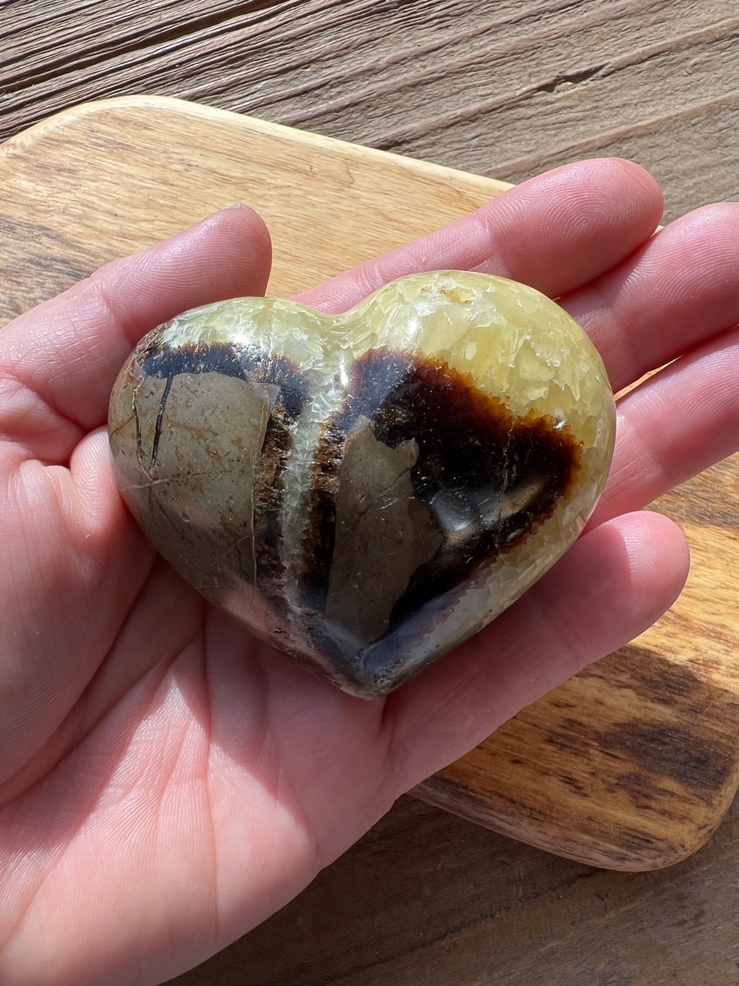 Septarian/Dragons Stone Heart