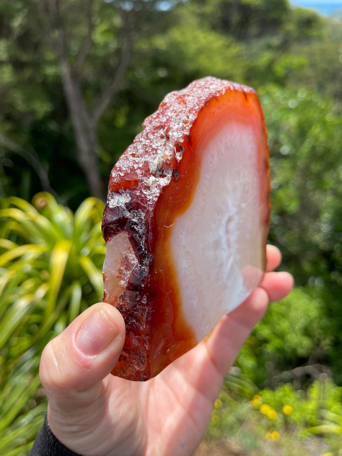 Carnelian Agate Slice
