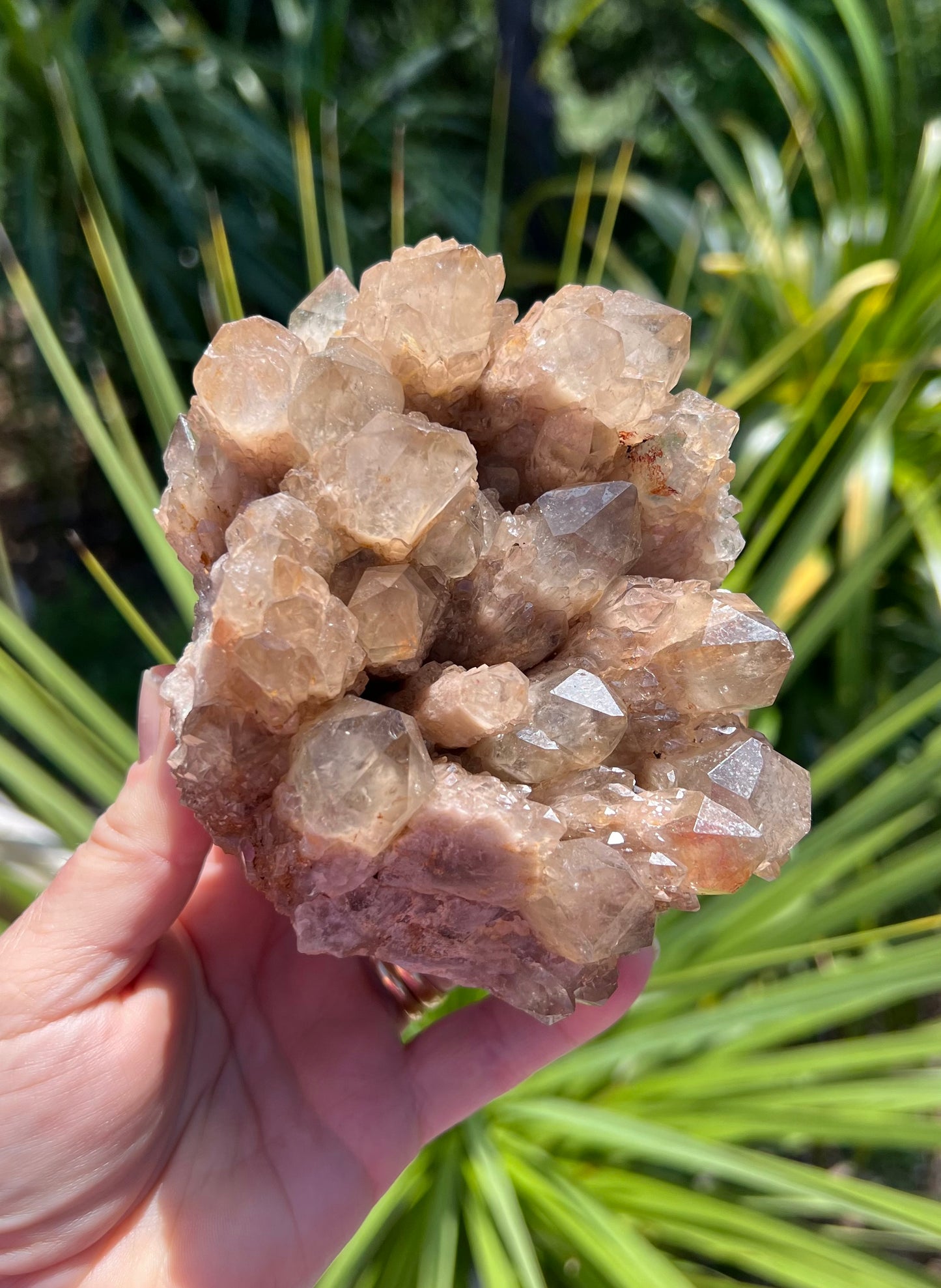 Kundalini Smoky Citrine Cluster