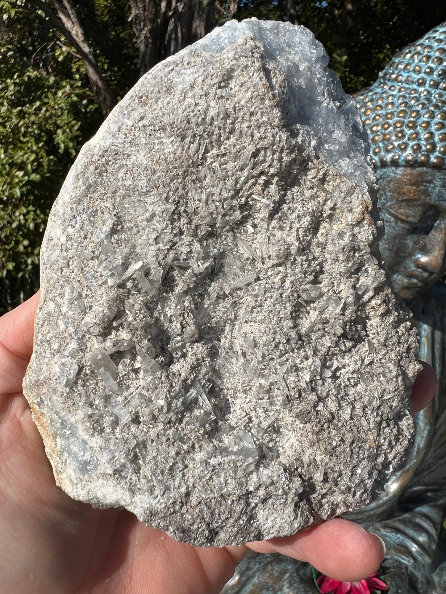 Celestite Geode Freeform