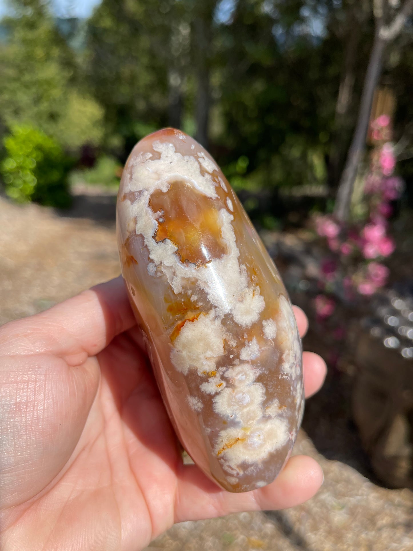 Cherry Blossom/Flower Agate Carnelian mix Free Form
