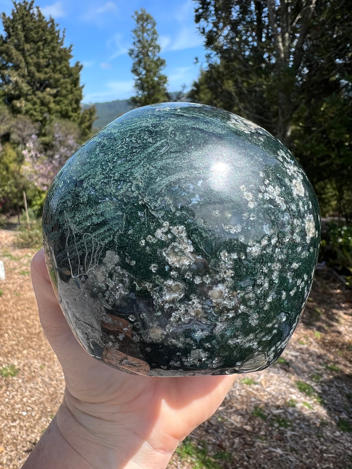 Moss Agate Carved Skull