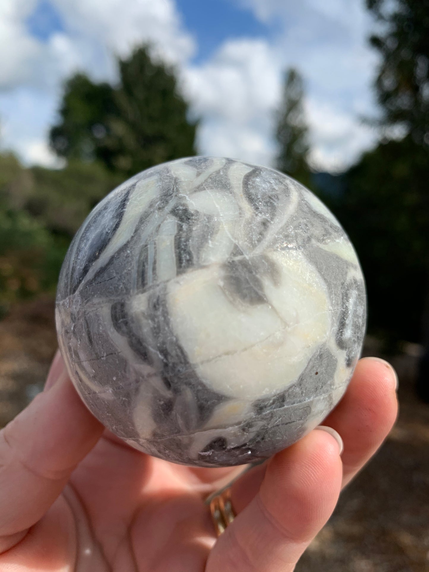 Thousand Eye/Shell Jasper Happy Face Sphere