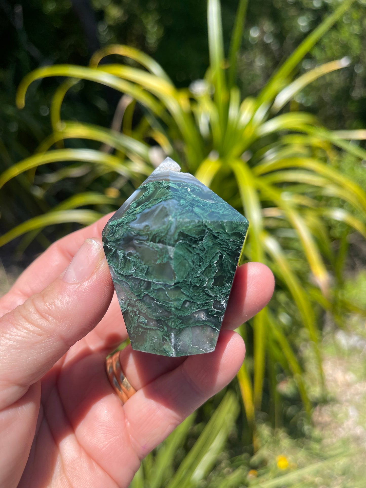 Moss Agate Point