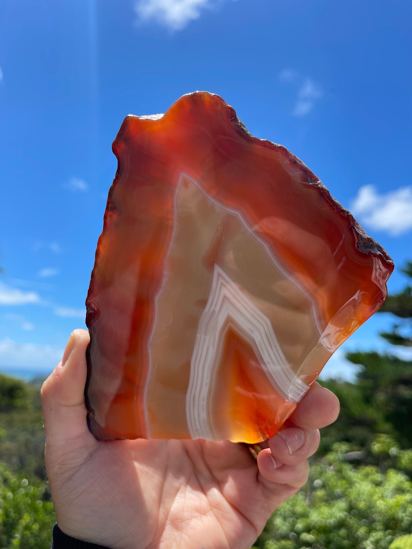 Carnelian Agate Slice