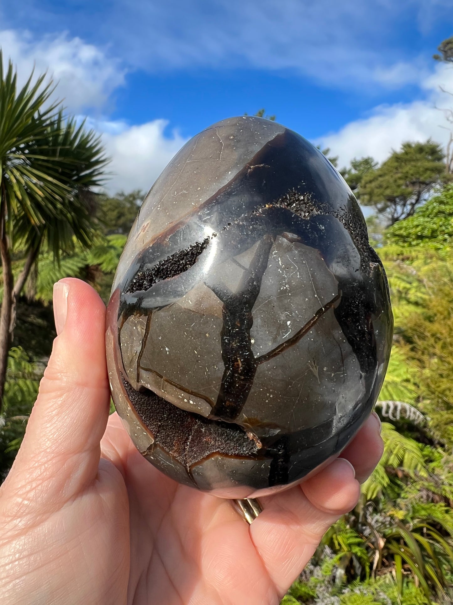 Septarian/Dragon Stone Egg