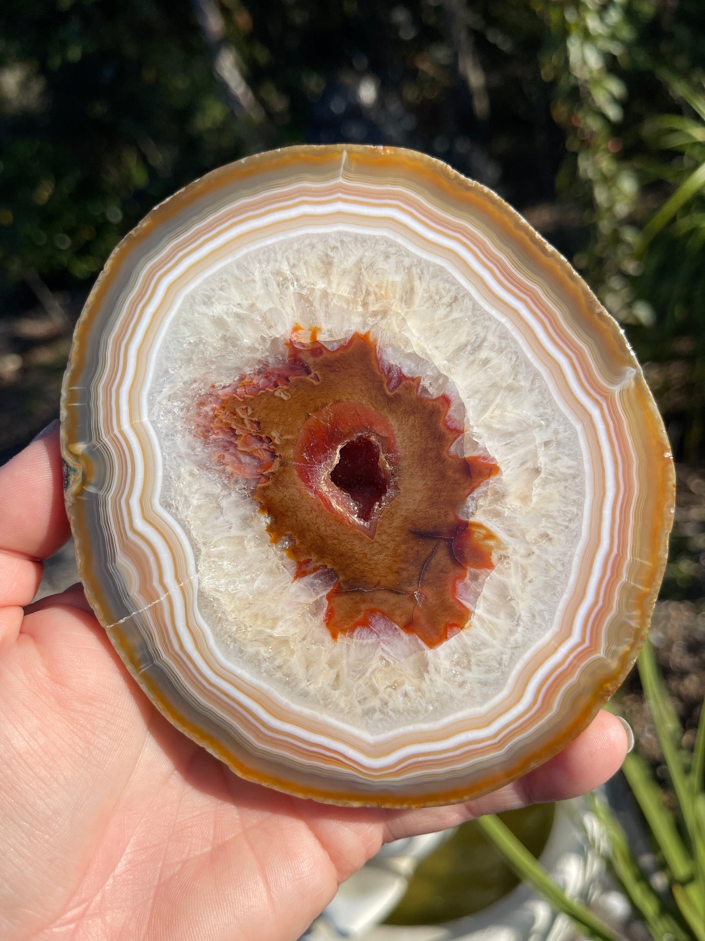 Carnelian Agate Slice, Round