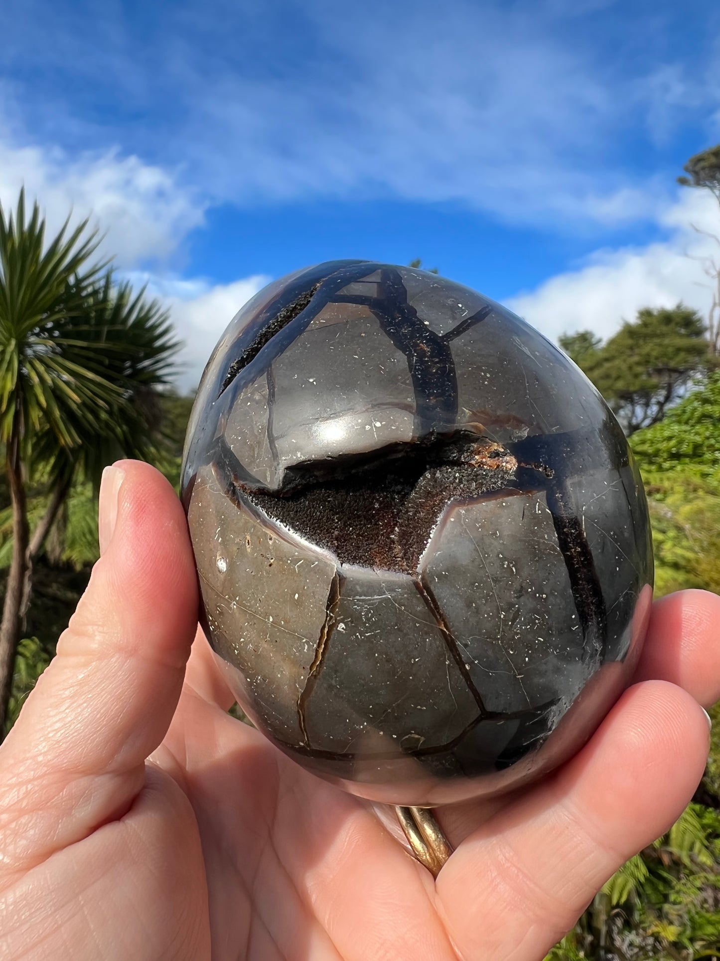 Septarian/Dragon Stone Egg