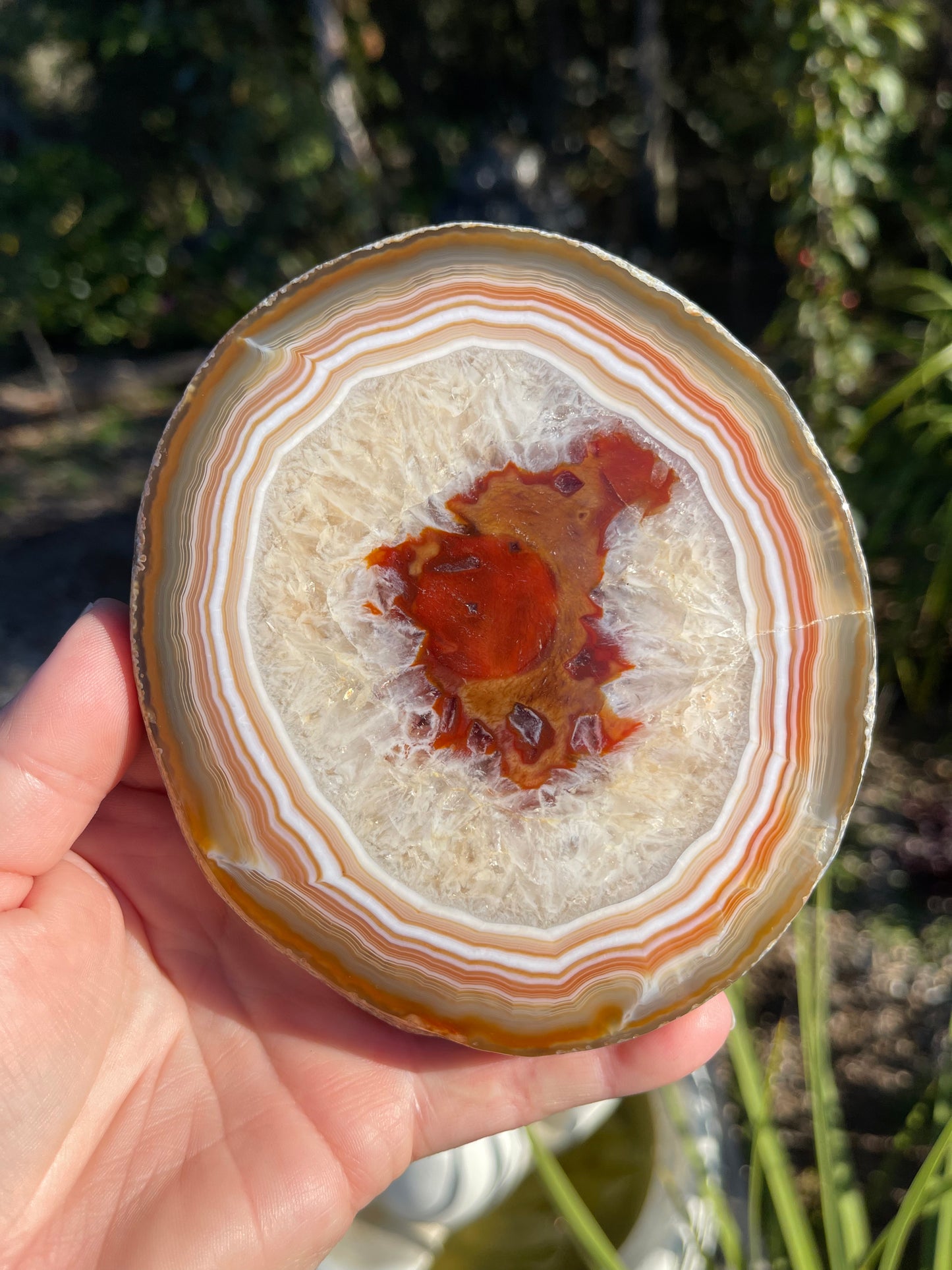 Carnelian Agate Slice, Round