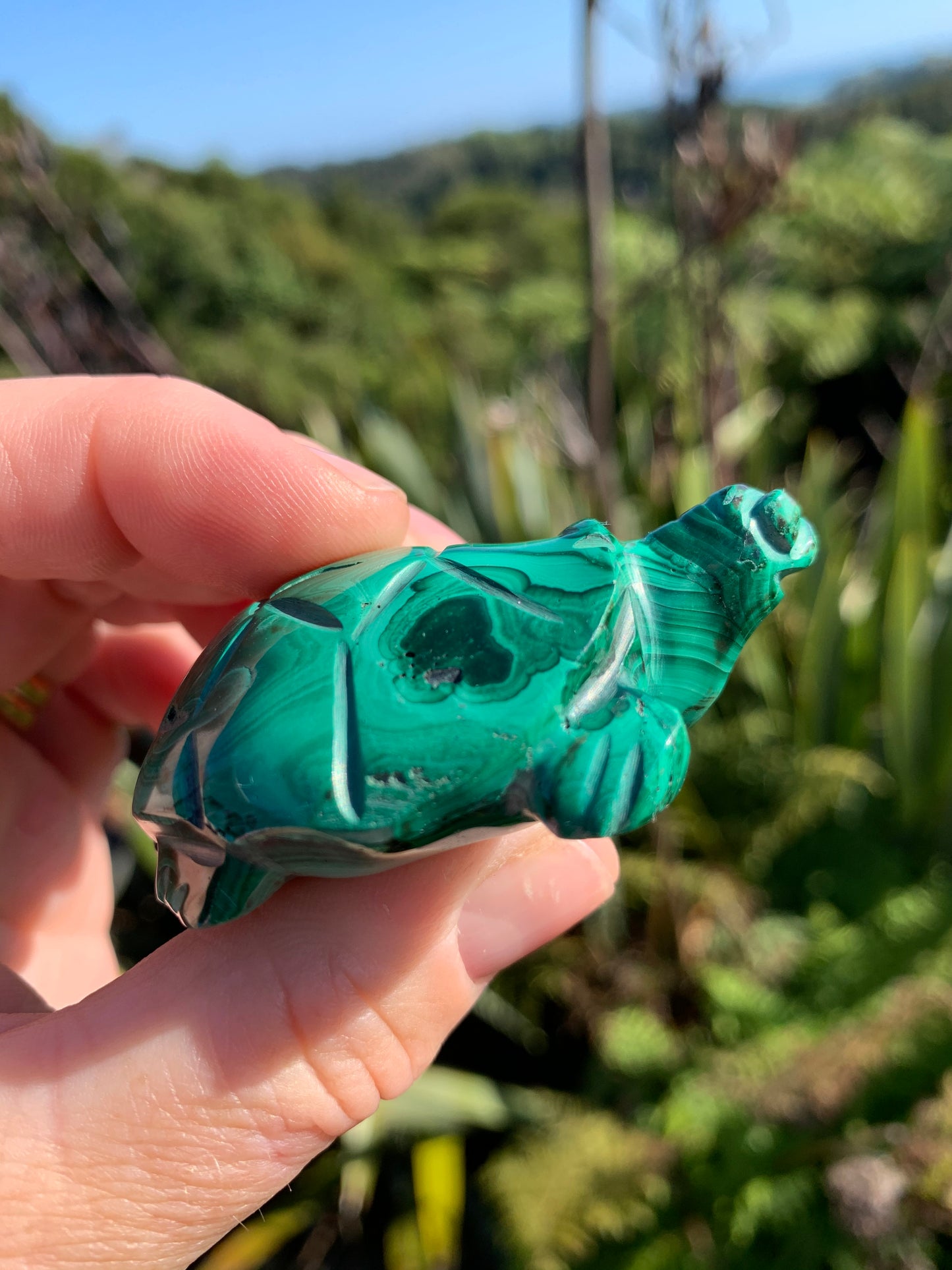 Malachite Carved Turtle