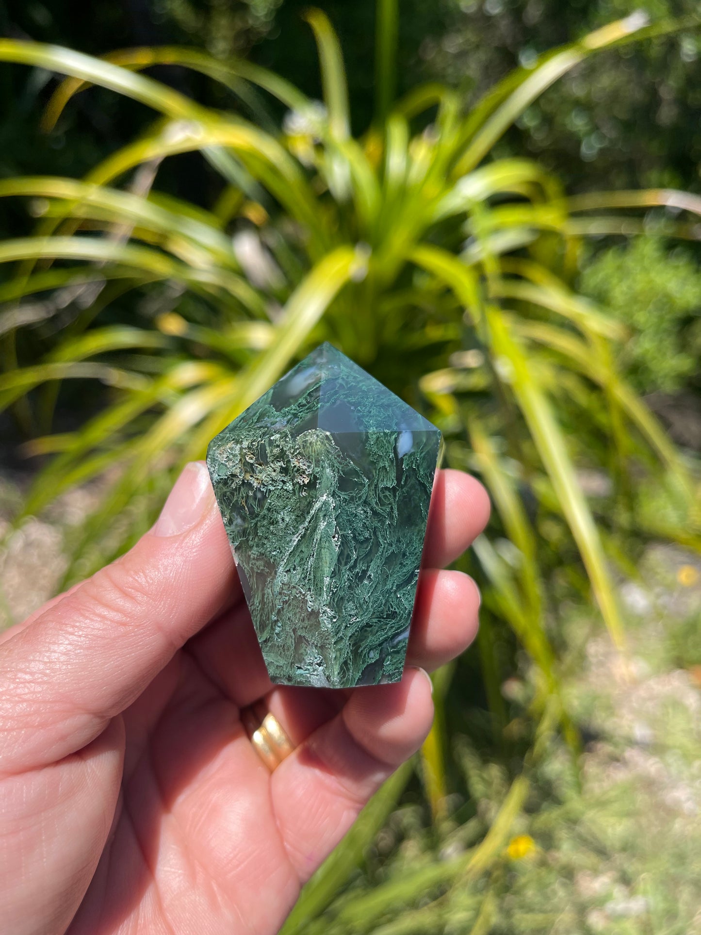Moss Agate Point
