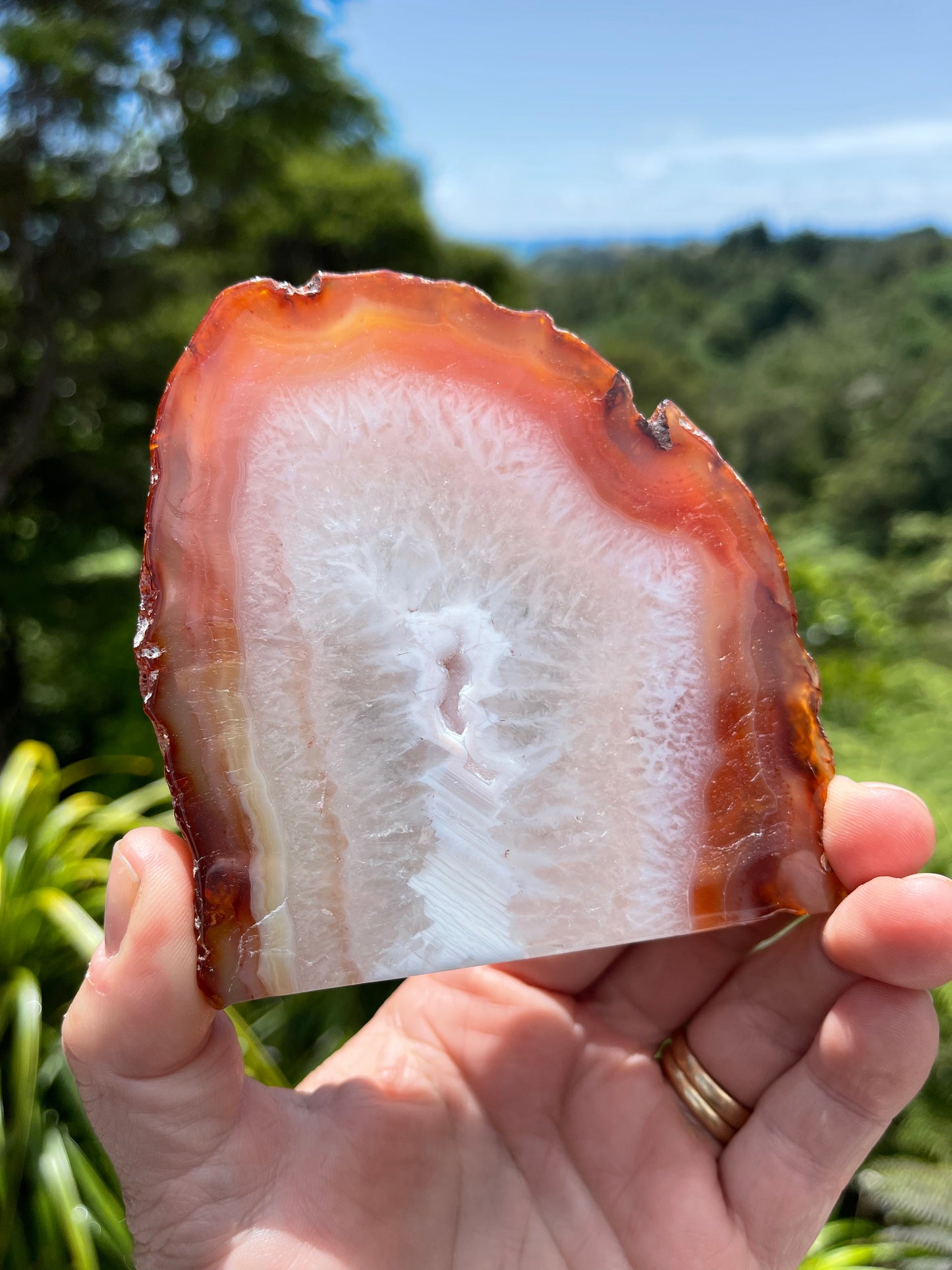 Carnelian Agate Slice