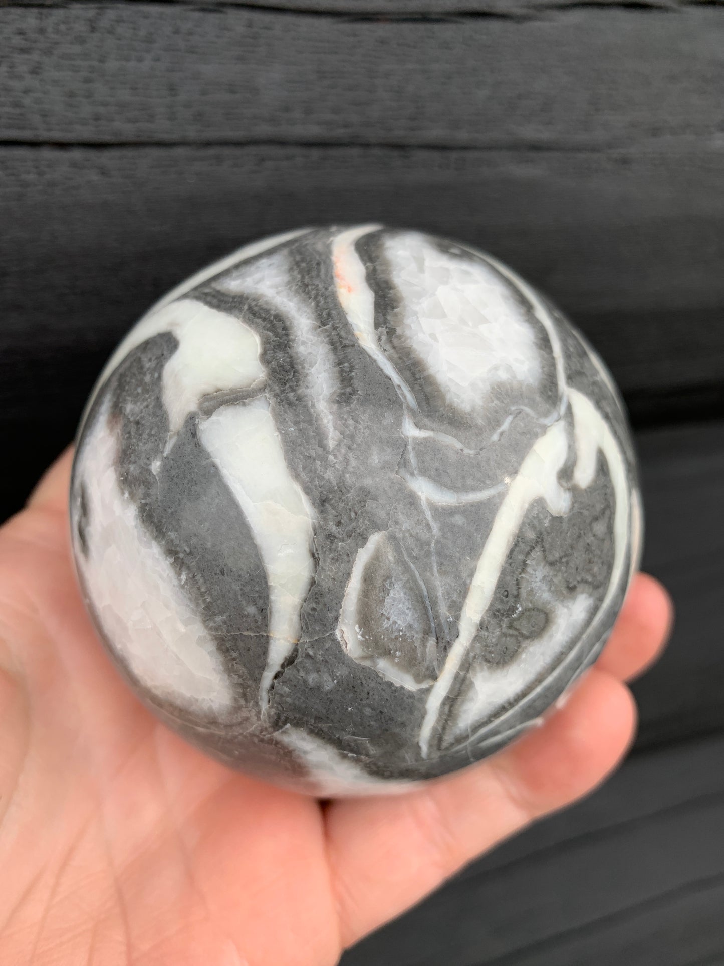 Thousand Eye/Shell Jasper Sphere