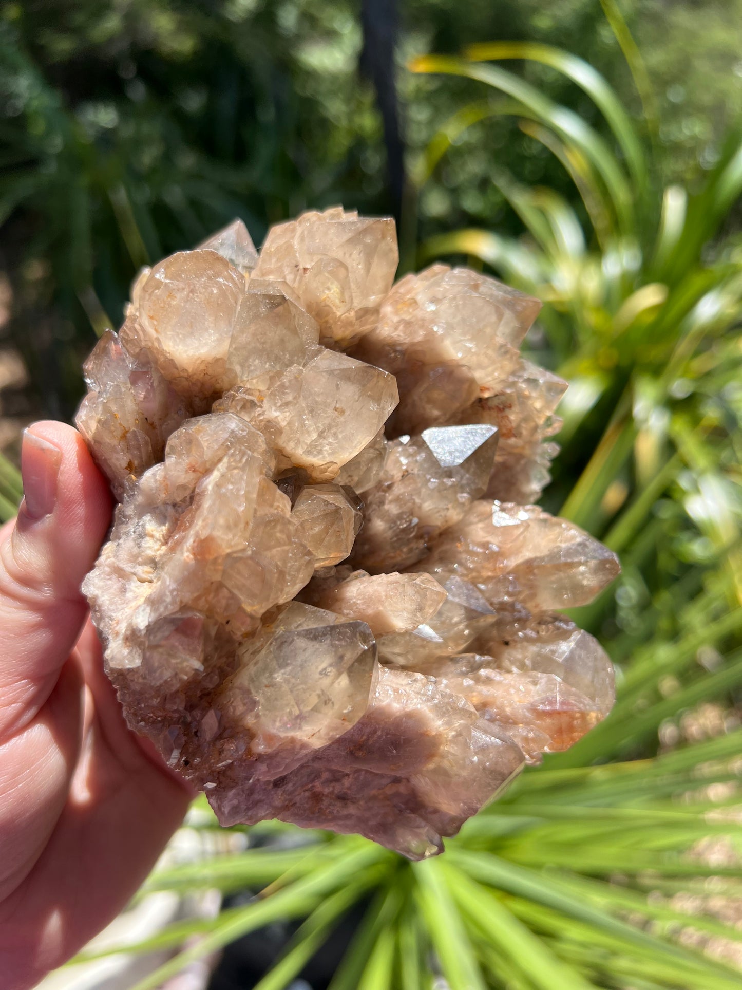 Kundalini Smoky Citrine Cluster