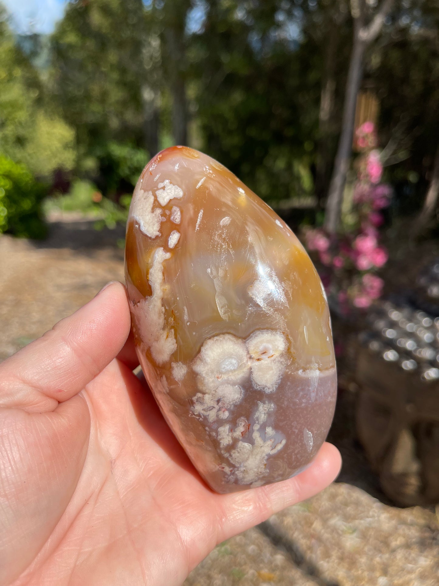 Cherry Blossom/Flower Agate Carnelian mix Free Form