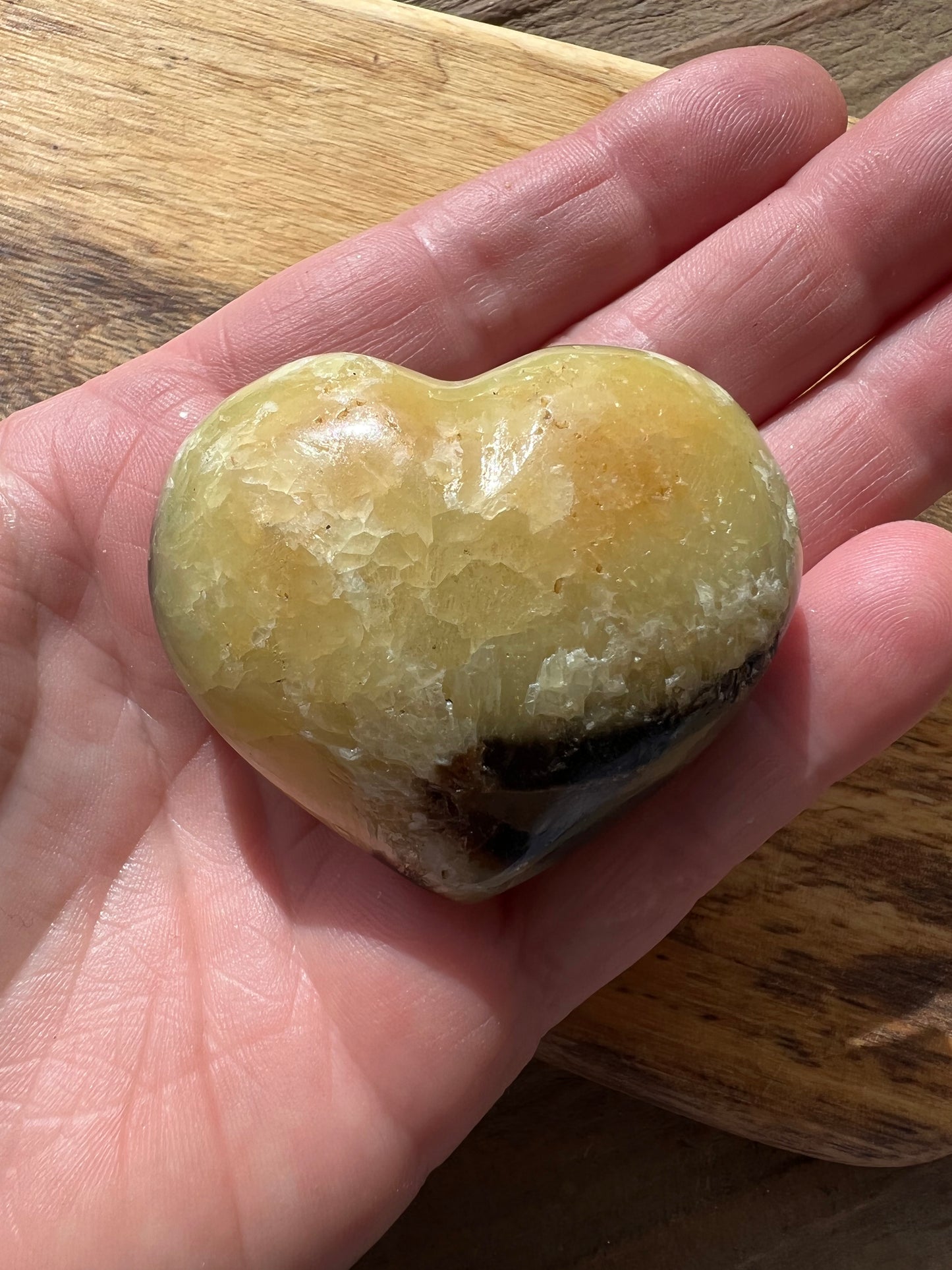 Septarian/Dragons Stone Heart