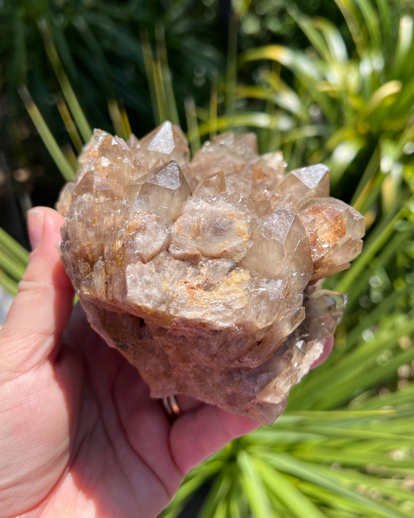 Kundalini Smoky Citrine Cluster